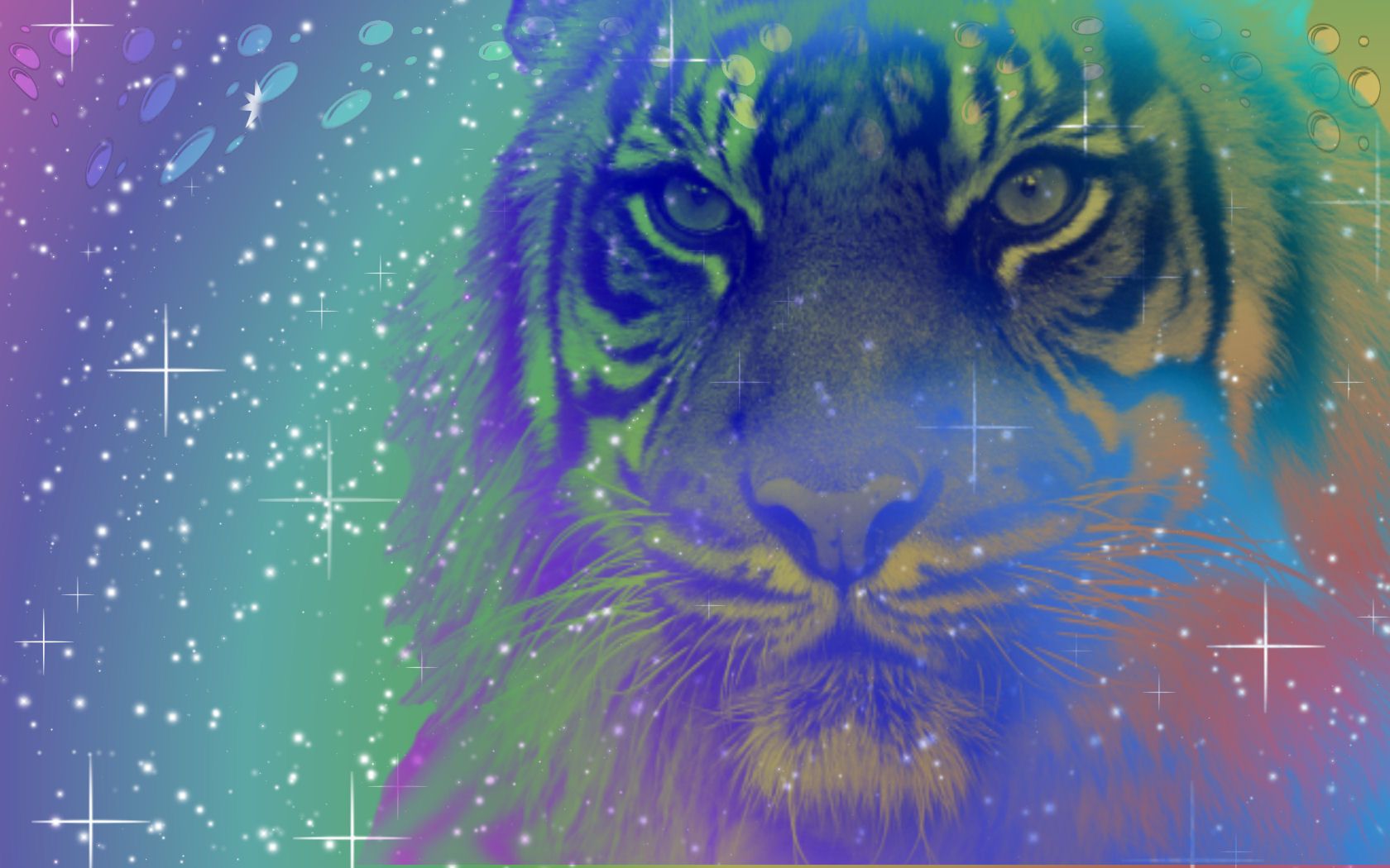Rainbow Tiger Wallpapers Wallpaper Cave