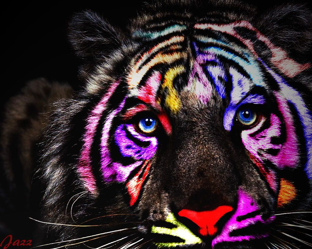 Rainbow Tiger Wallpapers Wallpaper Cave