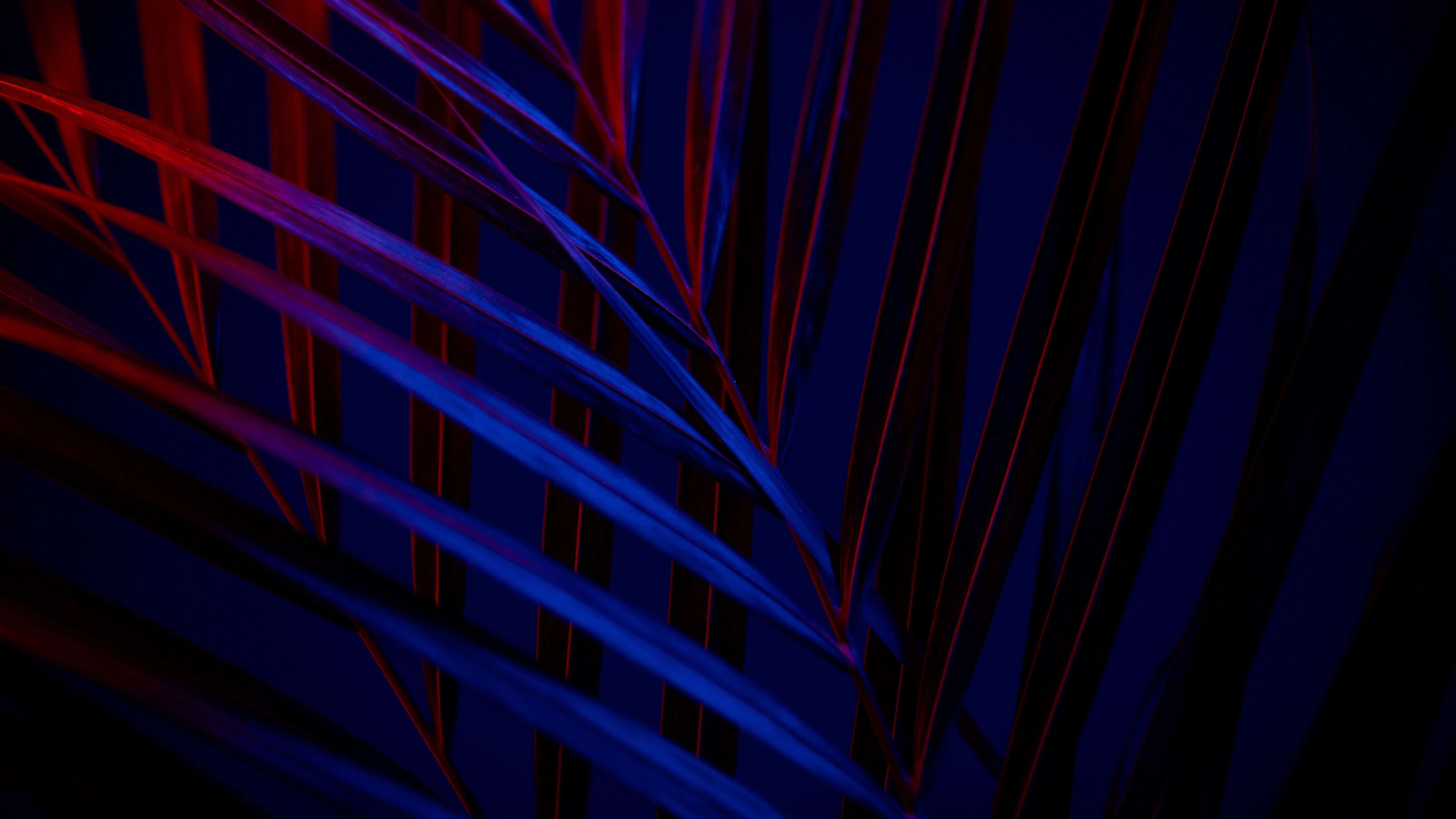 Blue And Red Wallpaper 4K PC