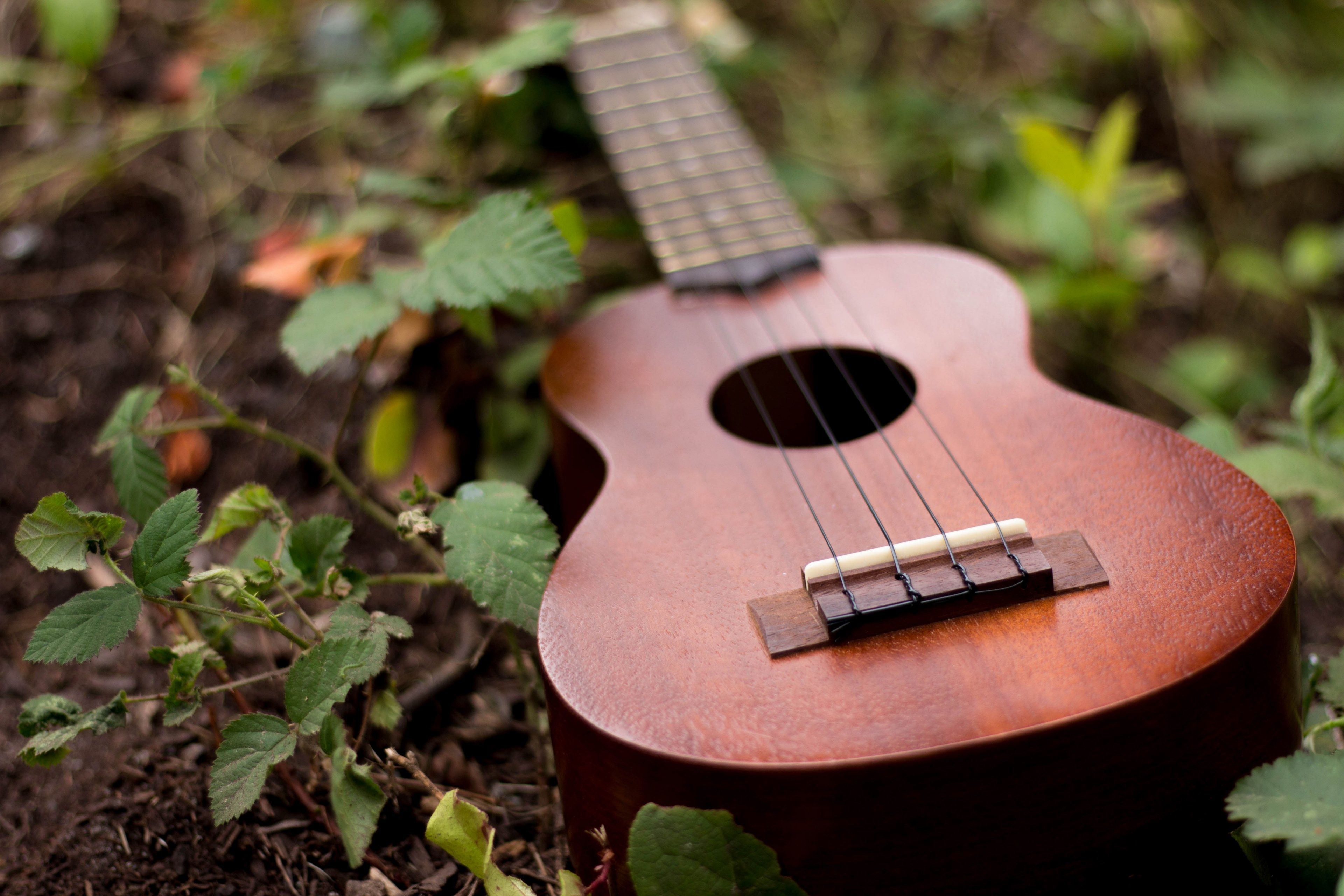 Ukulele 4k Wallpapers Wallpaper Cave