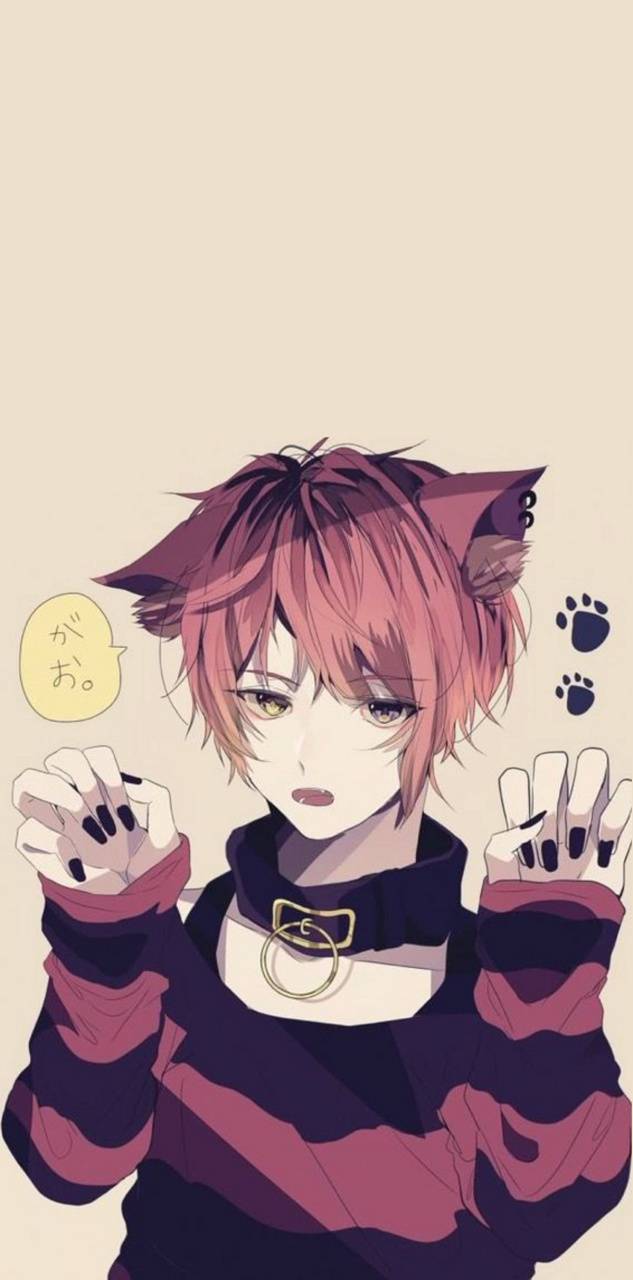 Top more than 138 anime cat boy latest awesomeenglish.edu.vn