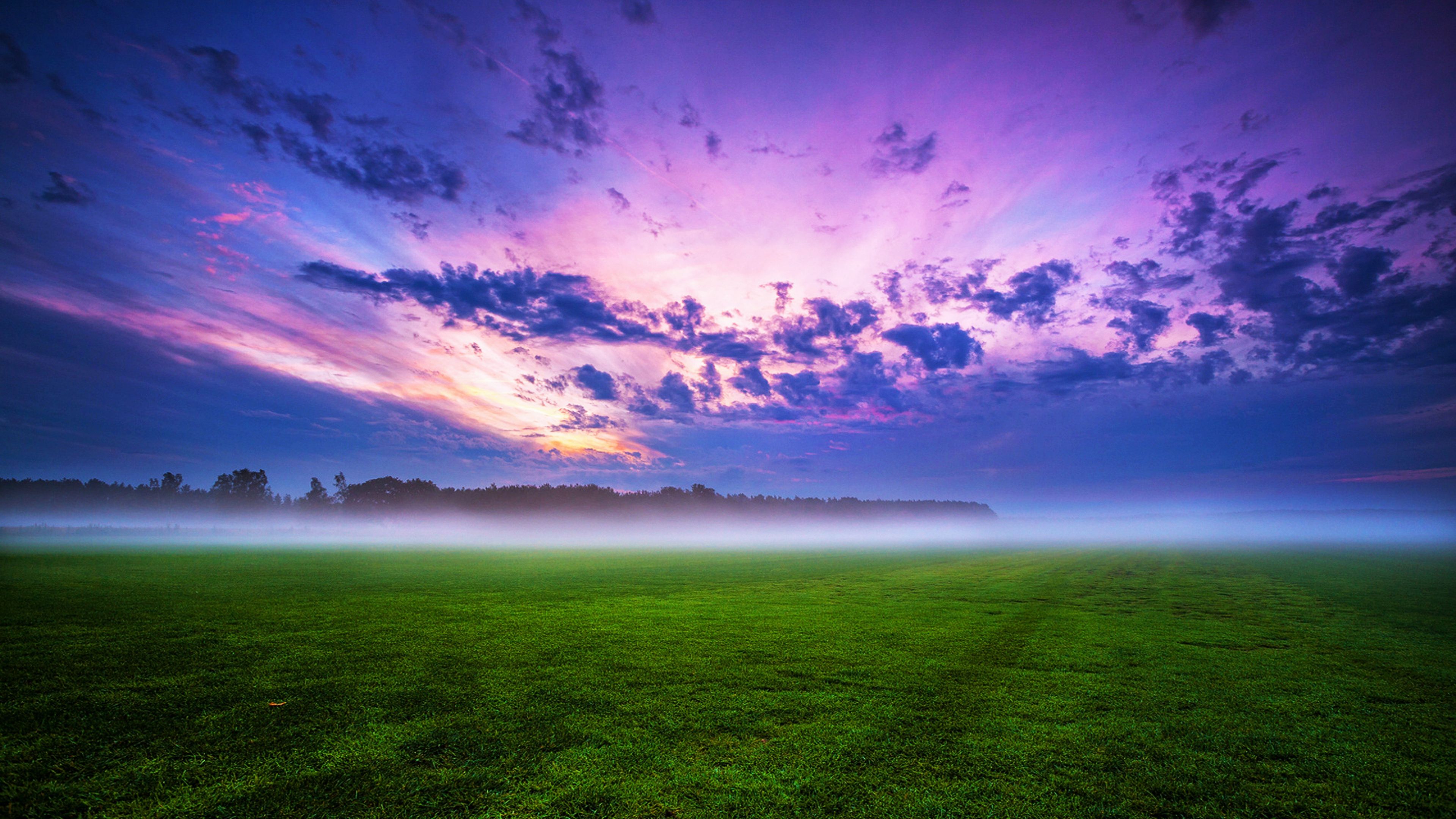 4k Popular Wallpapers Wallpaper Cave