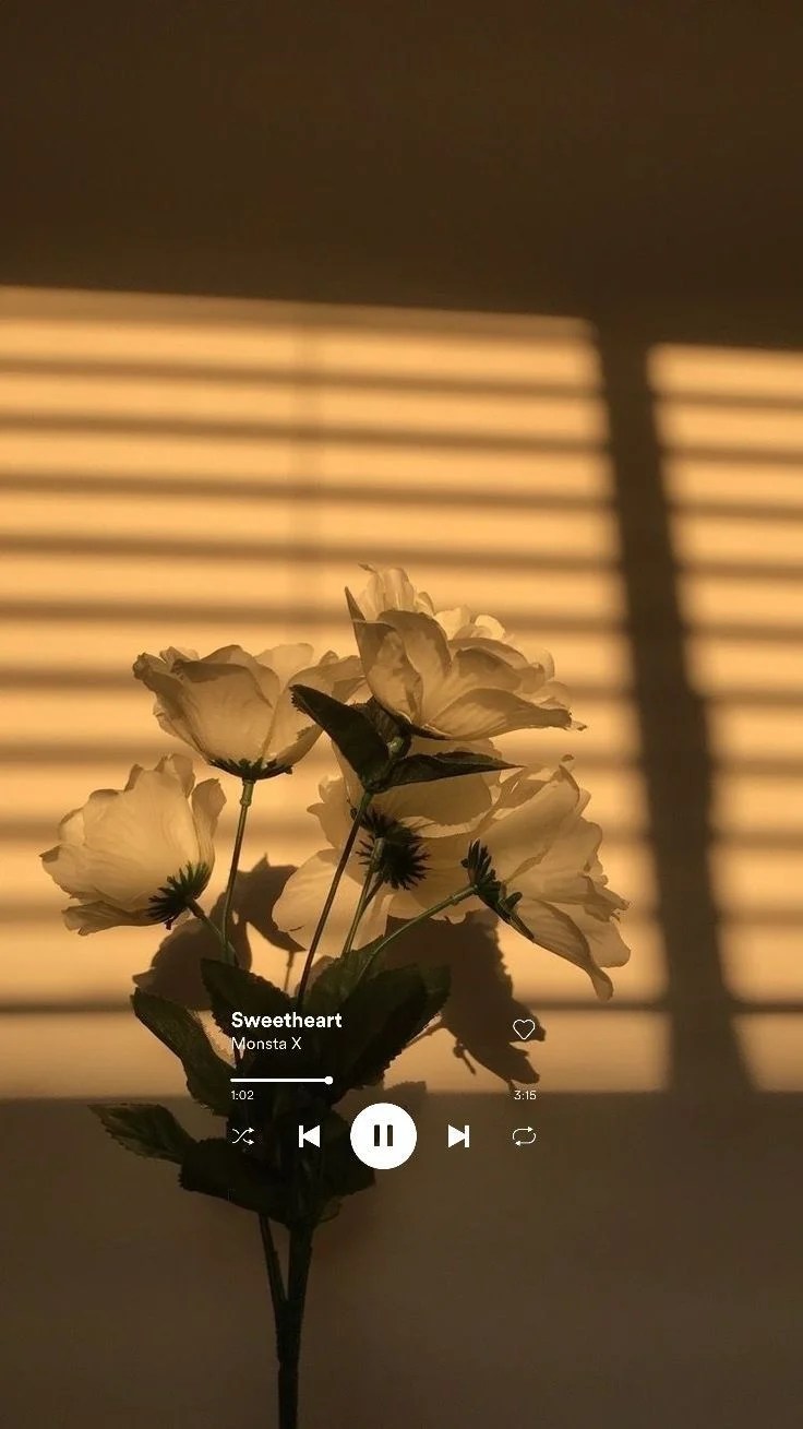 Spotify Aesthetic Wallpapers Wallpaper Cave