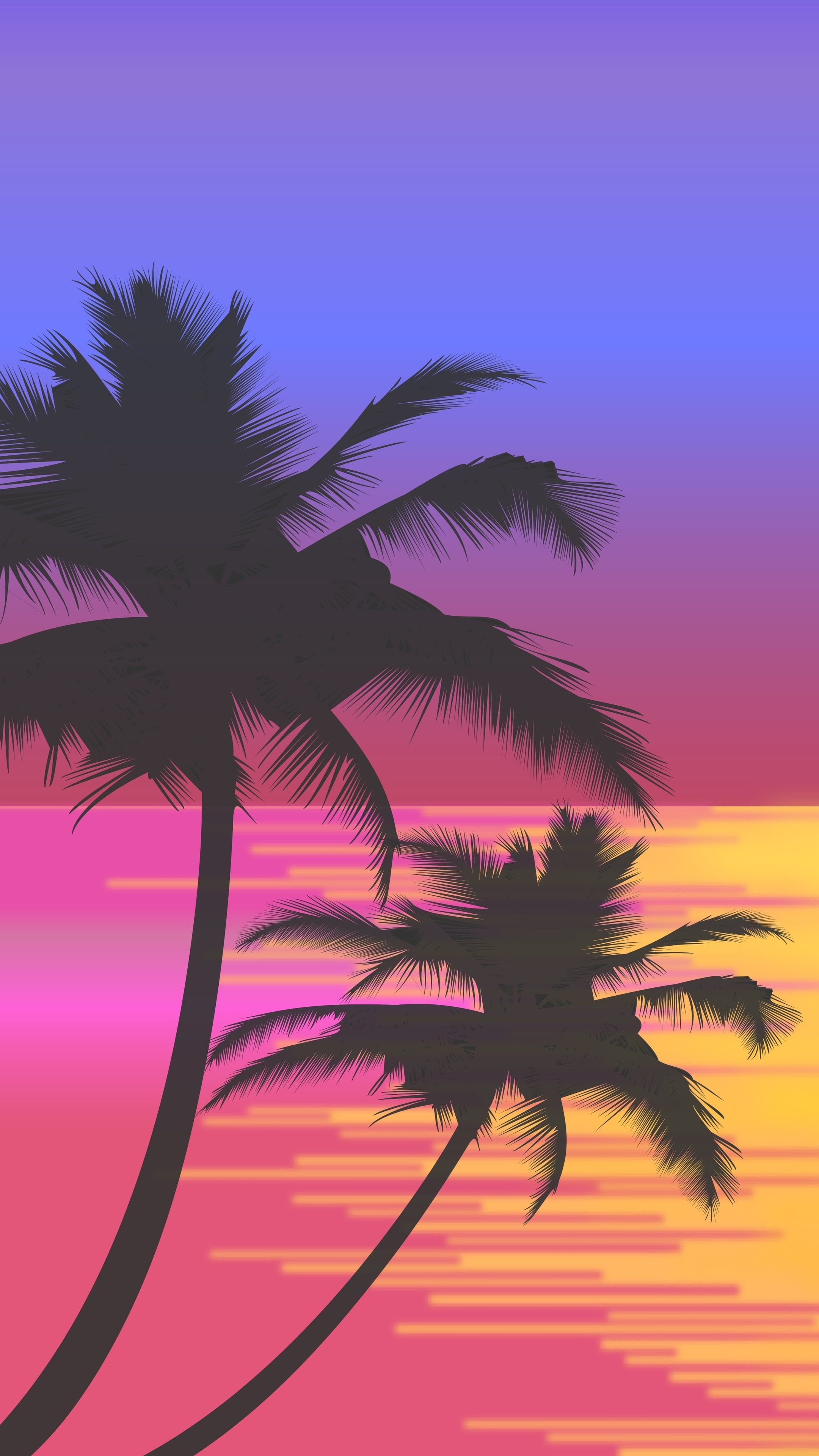 Palm Trees 4k Wallpapers Wallpaper Cave