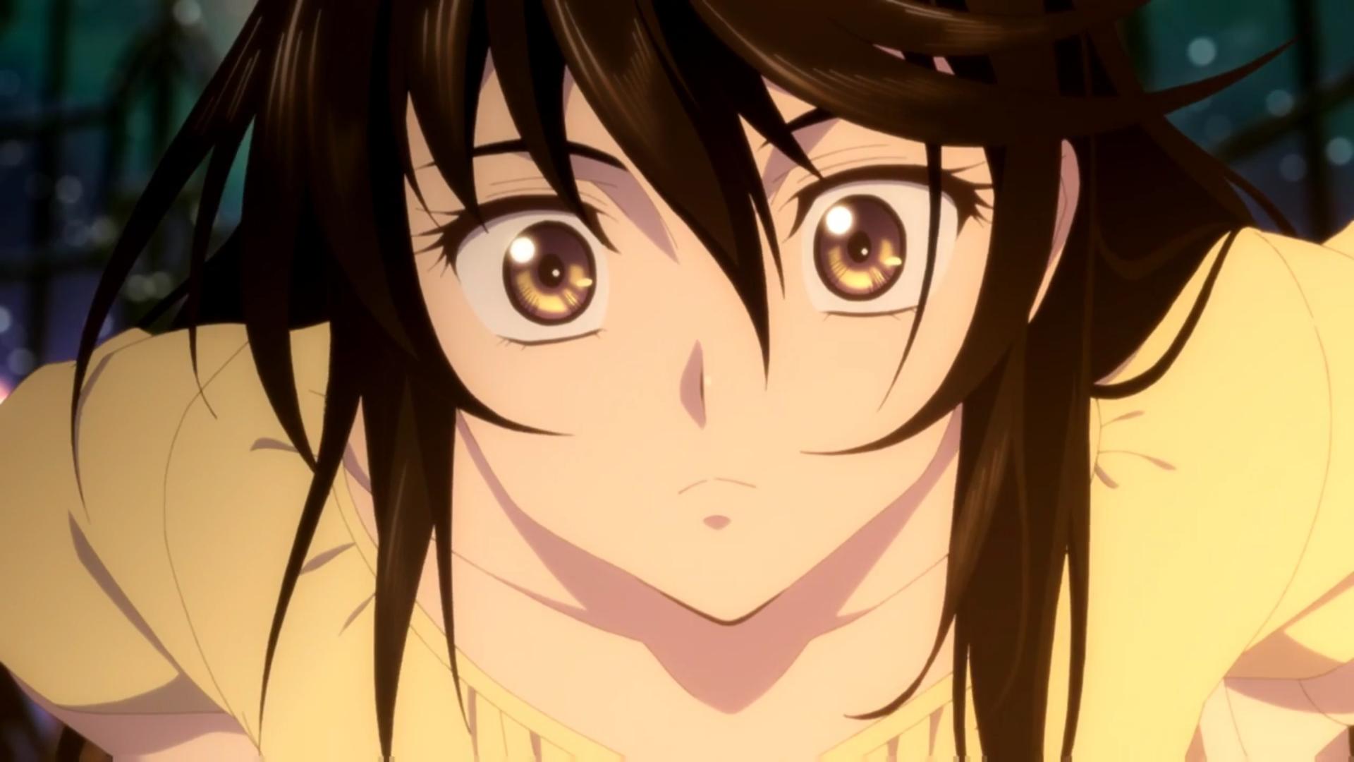 Velvet Crowe Wallpapers Wallpaper Cave