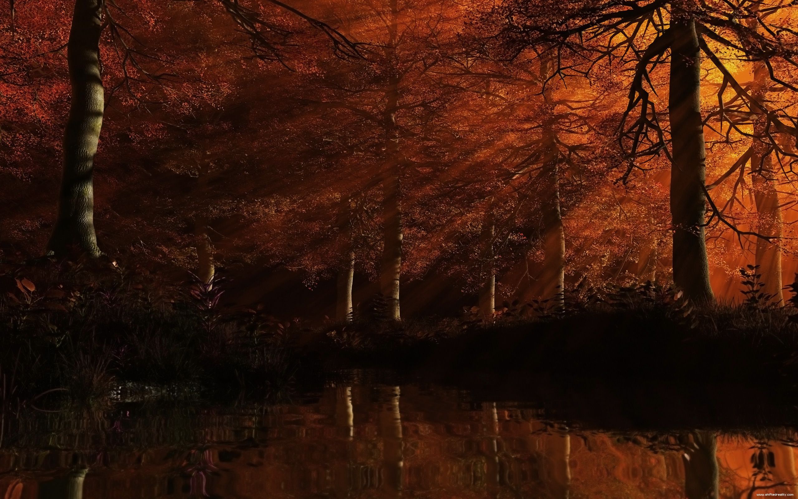 Black Autumn Wallpapers Wallpaper Cave