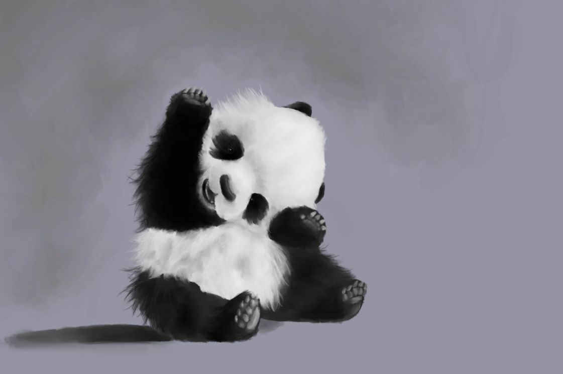 Black And White Panda Wallpapers Wallpaper Cave