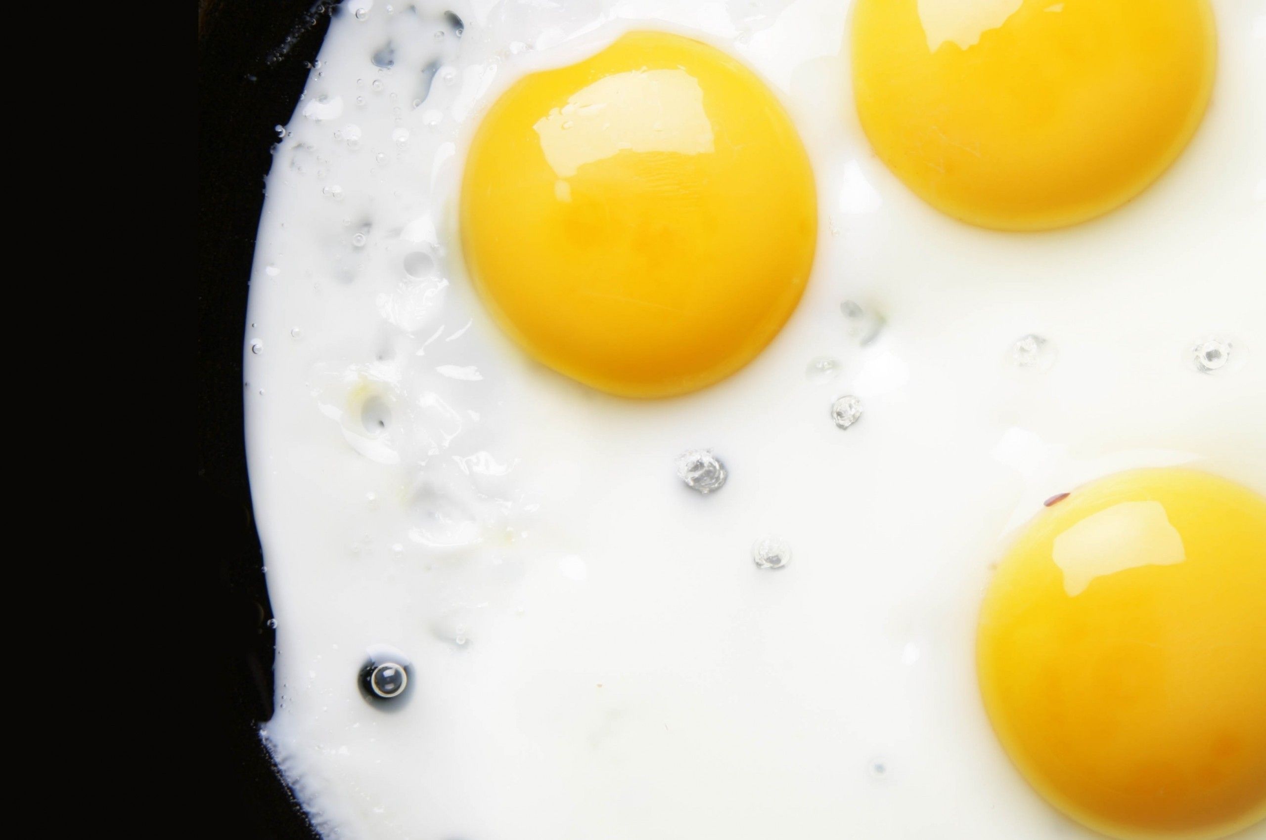 Egg Yolk Wallpapers Wallpaper Cave