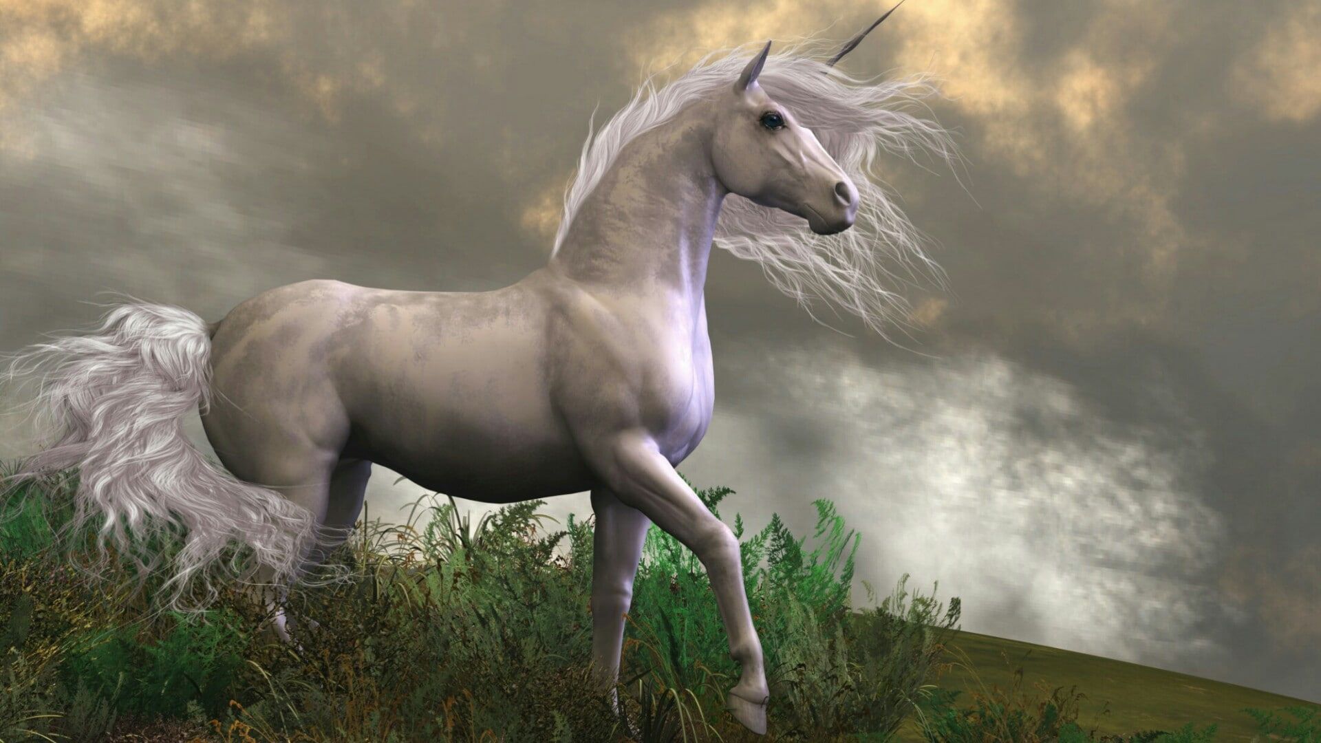 Unicorn Horse Wallpapers Wallpaper Cave