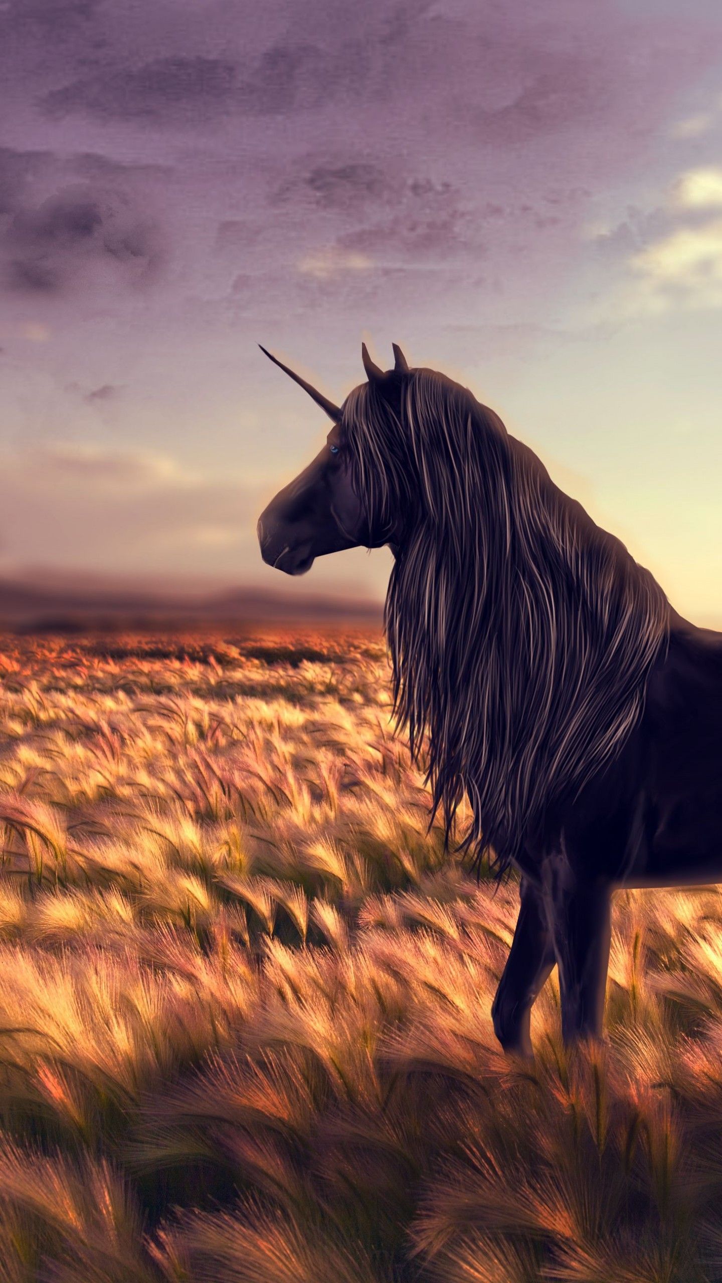 Unicorn Horse Wallpapers Wallpaper Cave