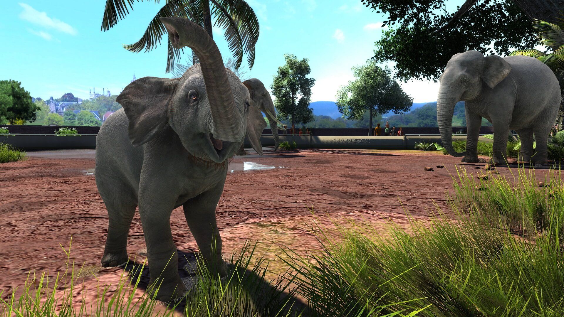 Zoo Tycoon Wallpapers Wallpaper Cave