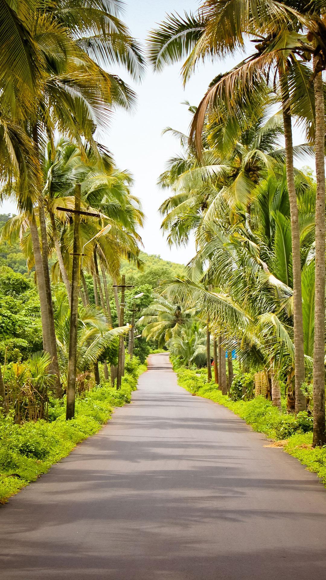 Goa India Wallpapers Wallpaper Cave