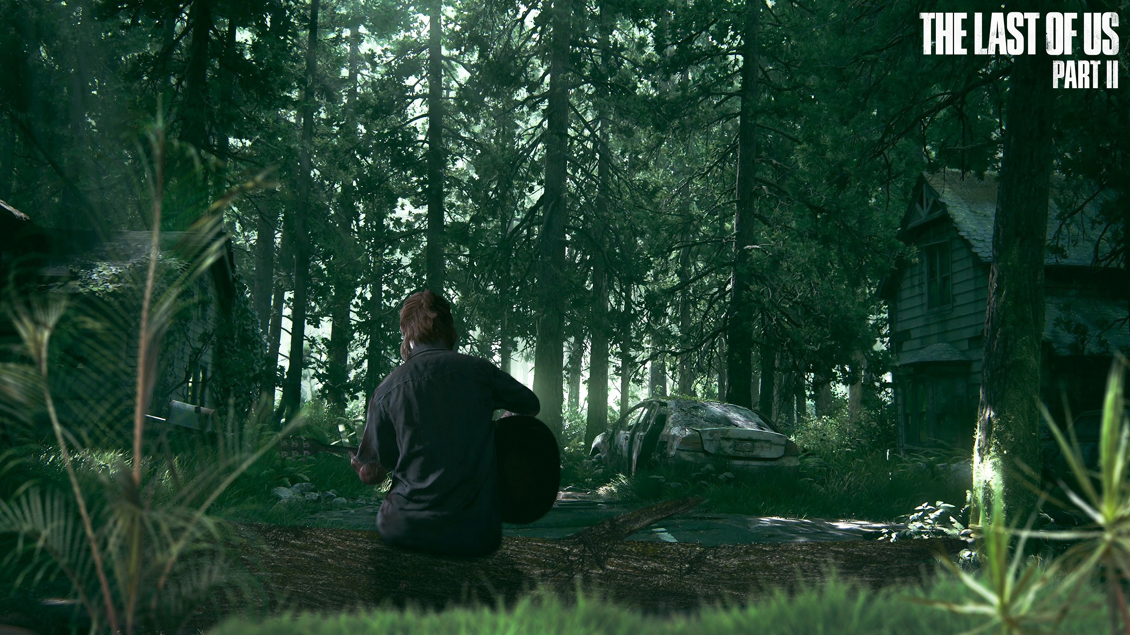 The Last Of Us Part II 4k Wallpapers Wallpaper Cave