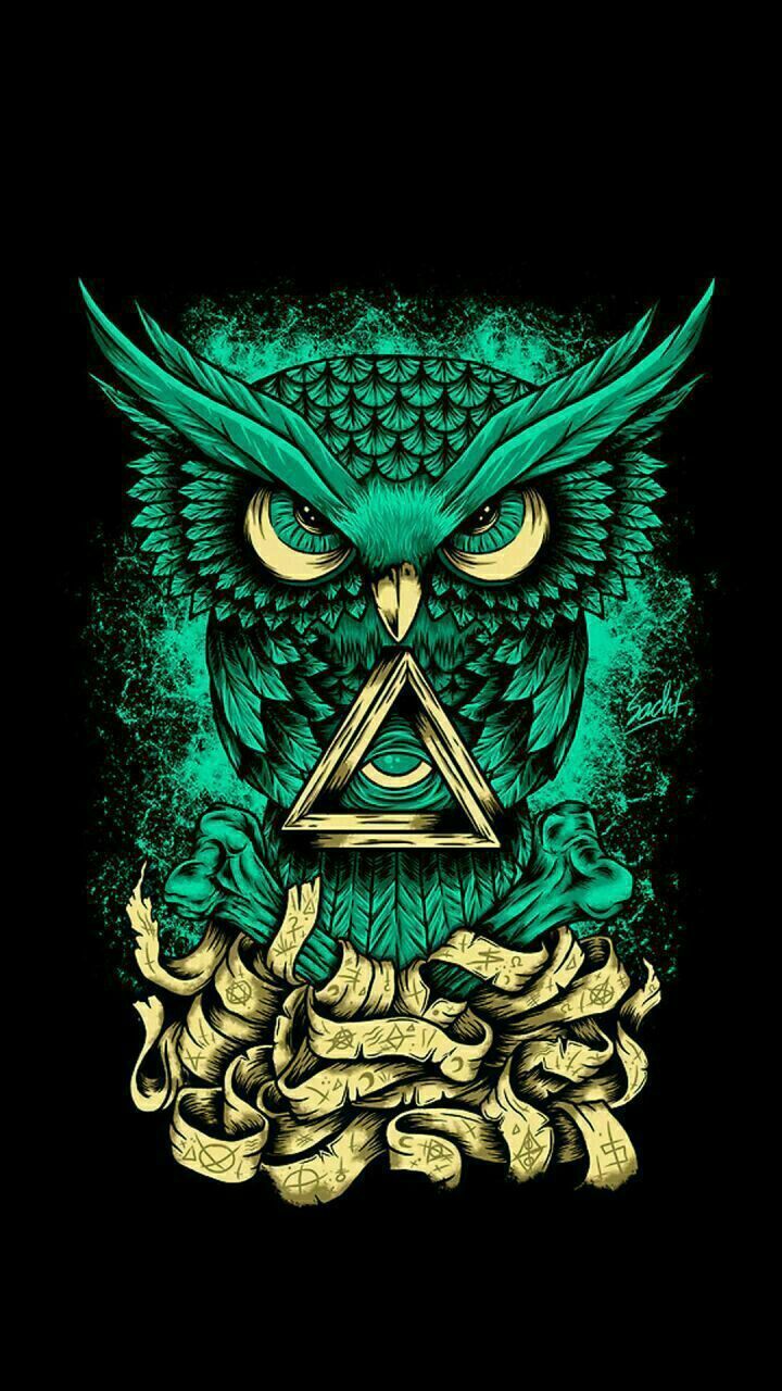Green Owl Wallpapers Wallpaper Cave