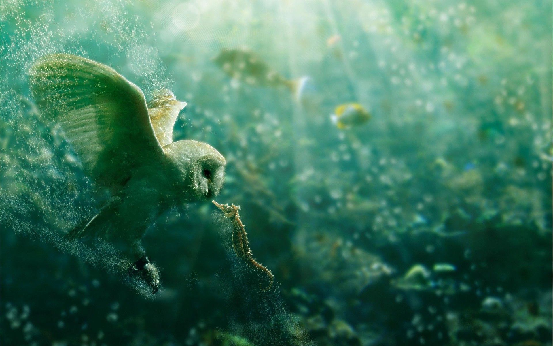 Green Owl Wallpapers Wallpaper Cave