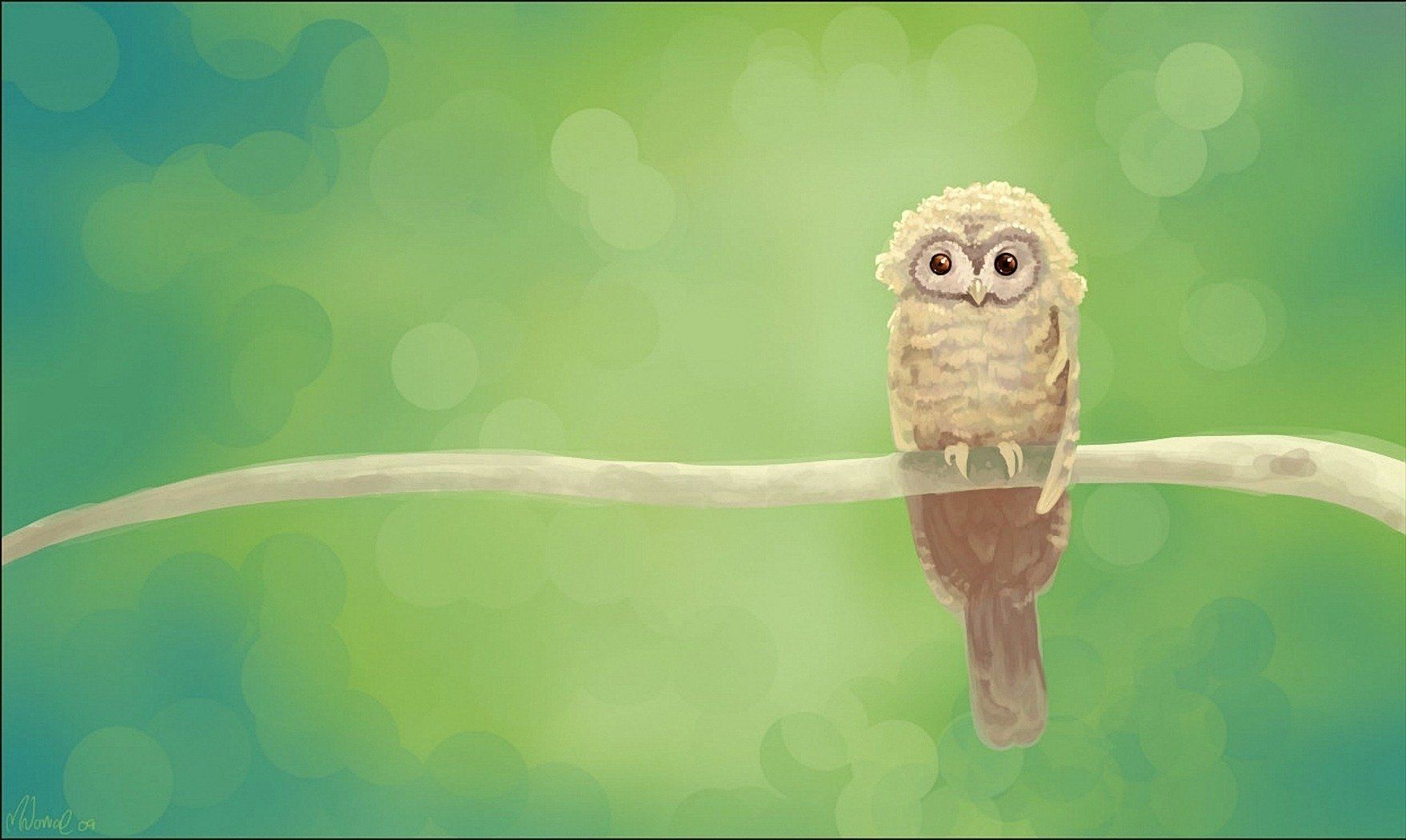 Green Owl Wallpapers Wallpaper Cave