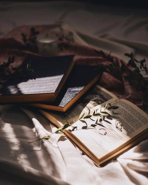 Dark Academia Poetry Wallpapers Wallpaper Cave