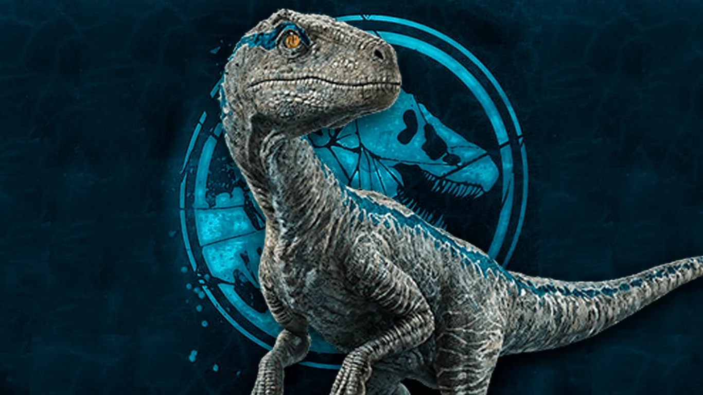 Blue The Raptor Wallpapers Wallpaper Cave