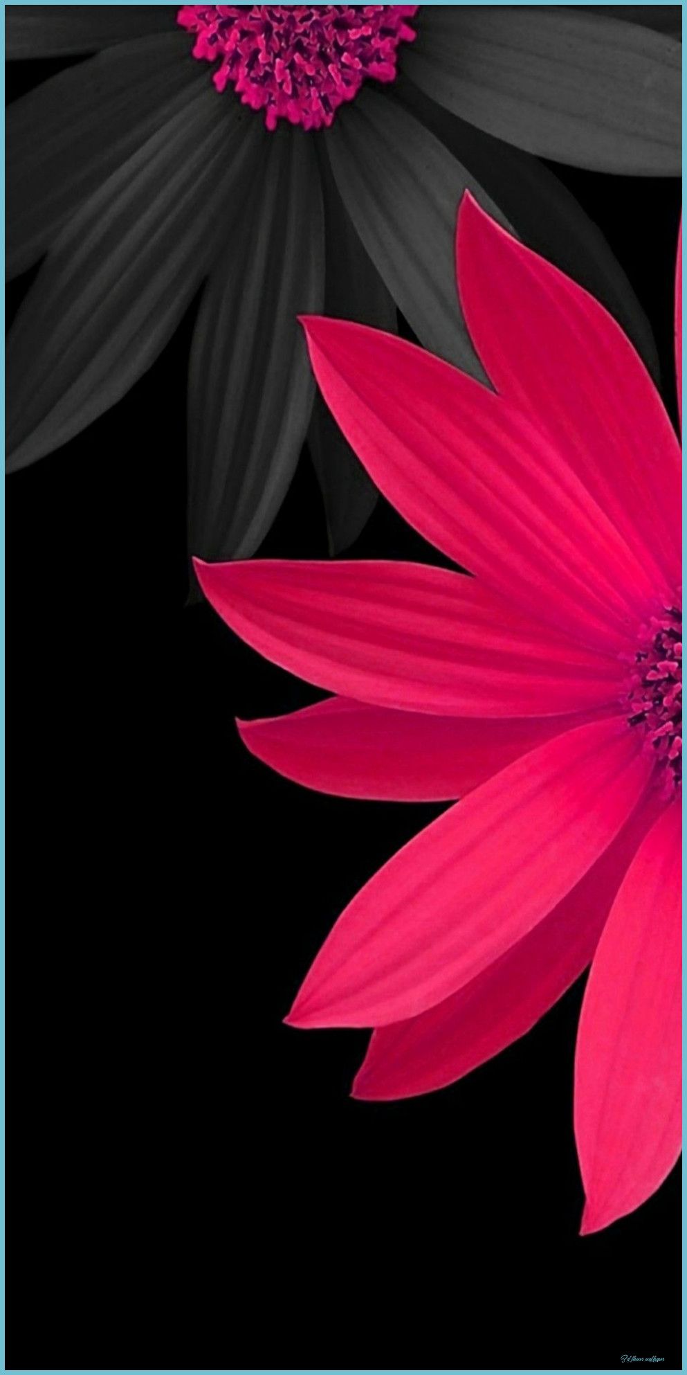 3D Floral Wallpapers Wallpaper Cave