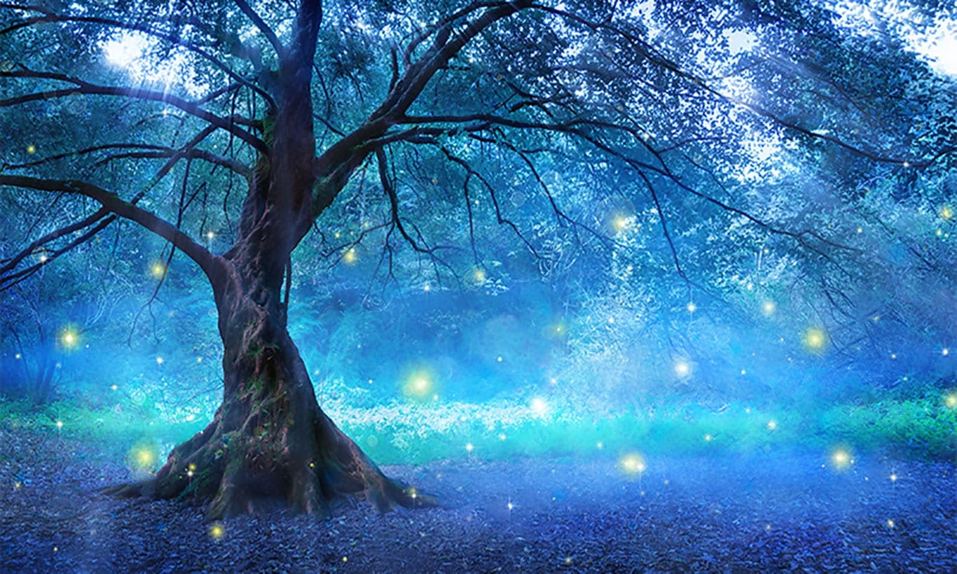 Mystical Forest Wallpapers Wallpaper Cave