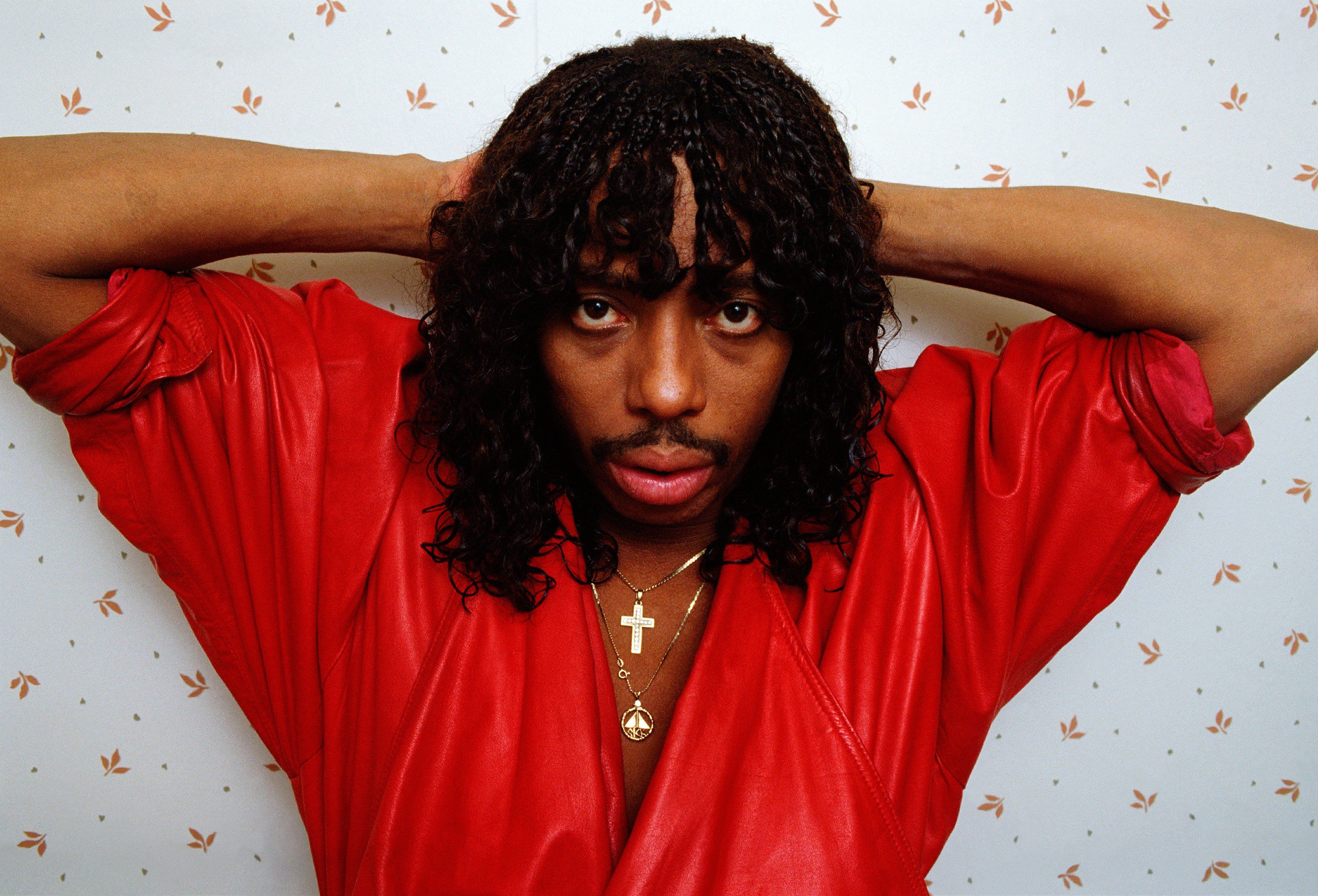 Rick James Wallpapers Wallpaper Cave