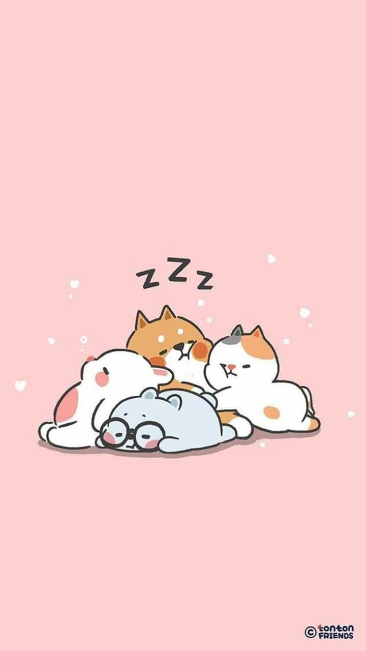 Kawaii Cartoon Animal Wallpapers Wallpaper Cave