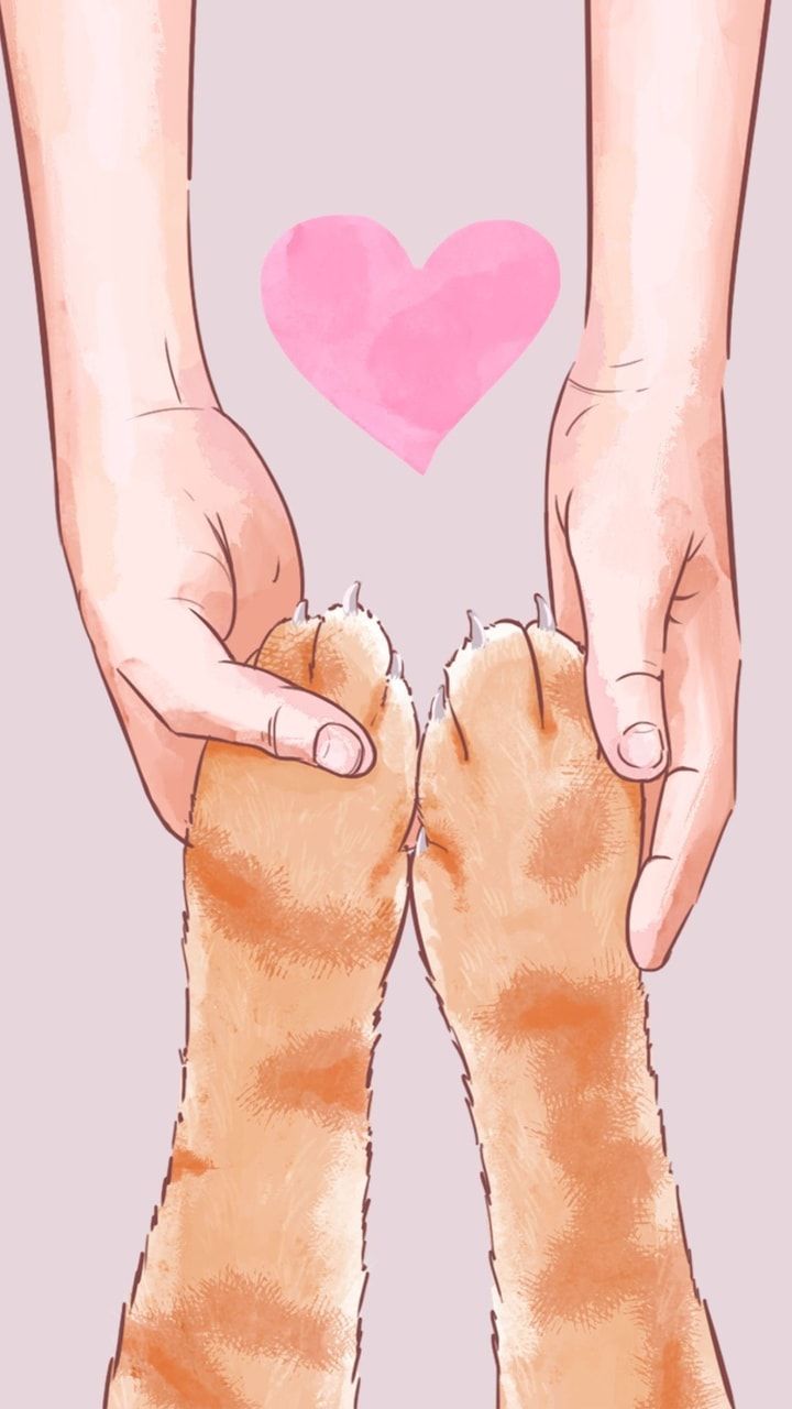 Dog Lover Wallpapers Wallpaper Cave