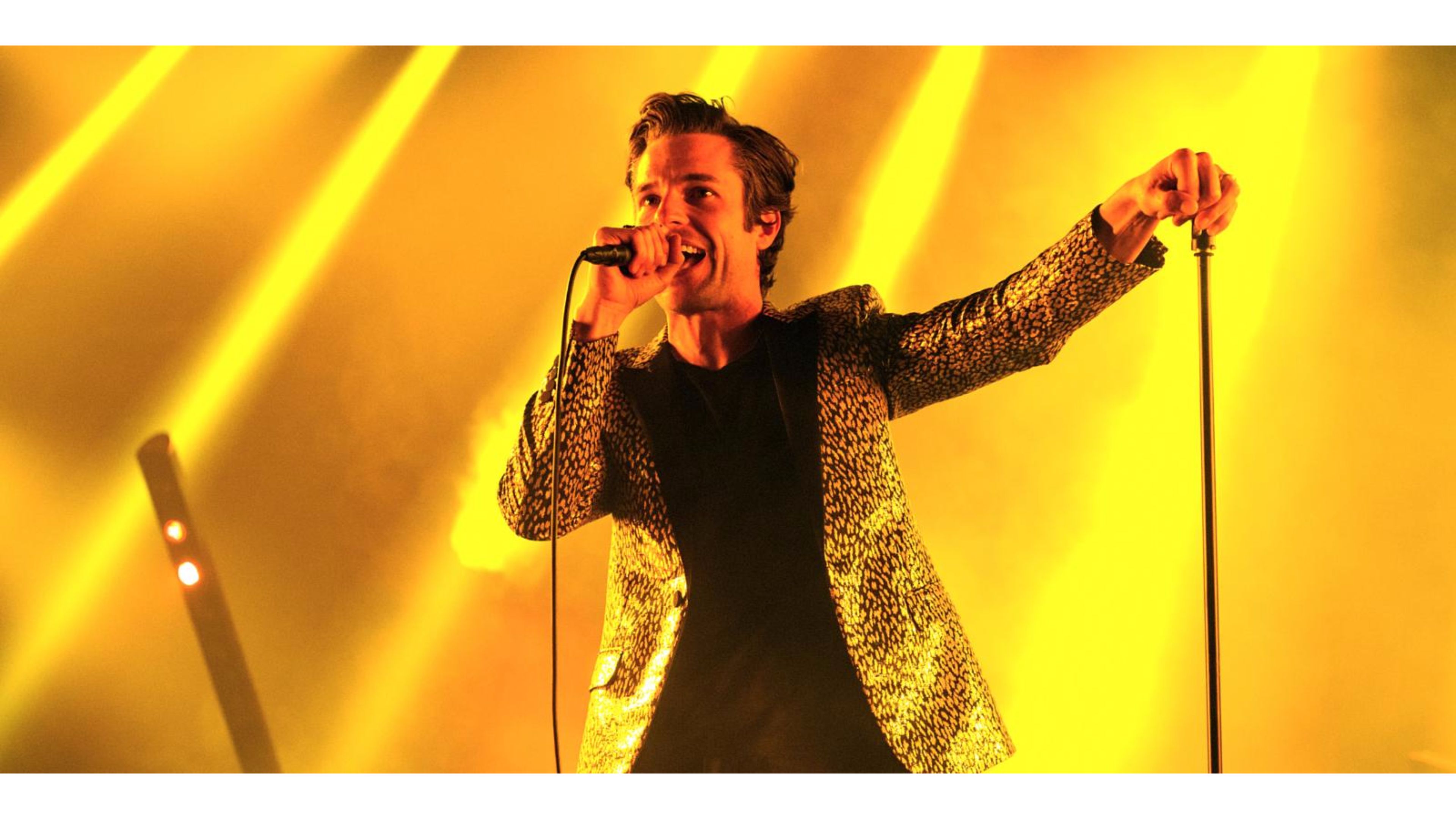 Brandon Flowers Wallpapers Wallpaper Cave