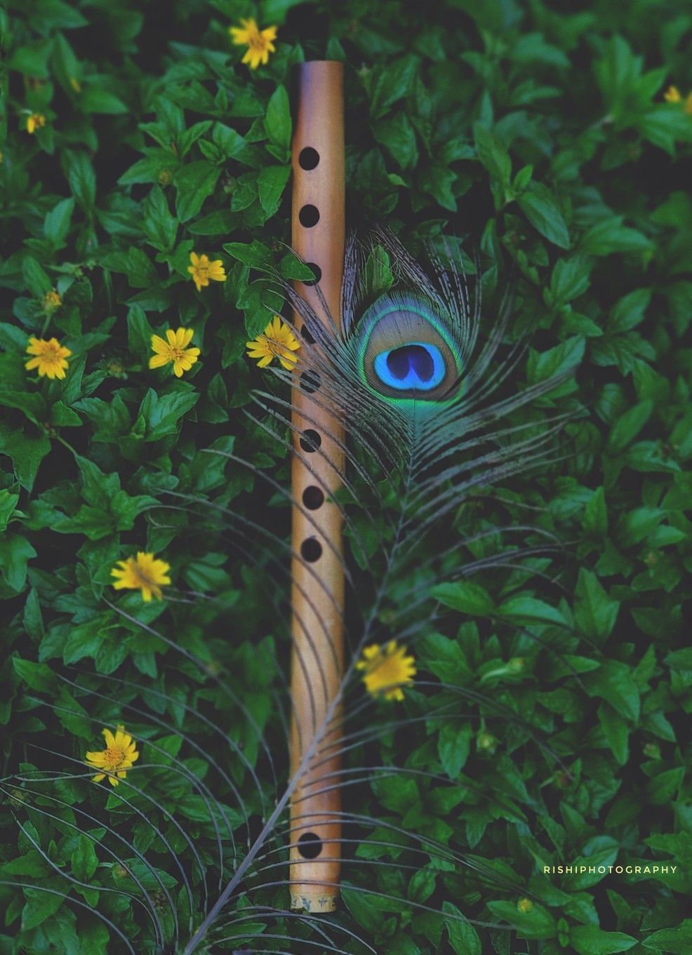 Flute Wallpaper Desktop