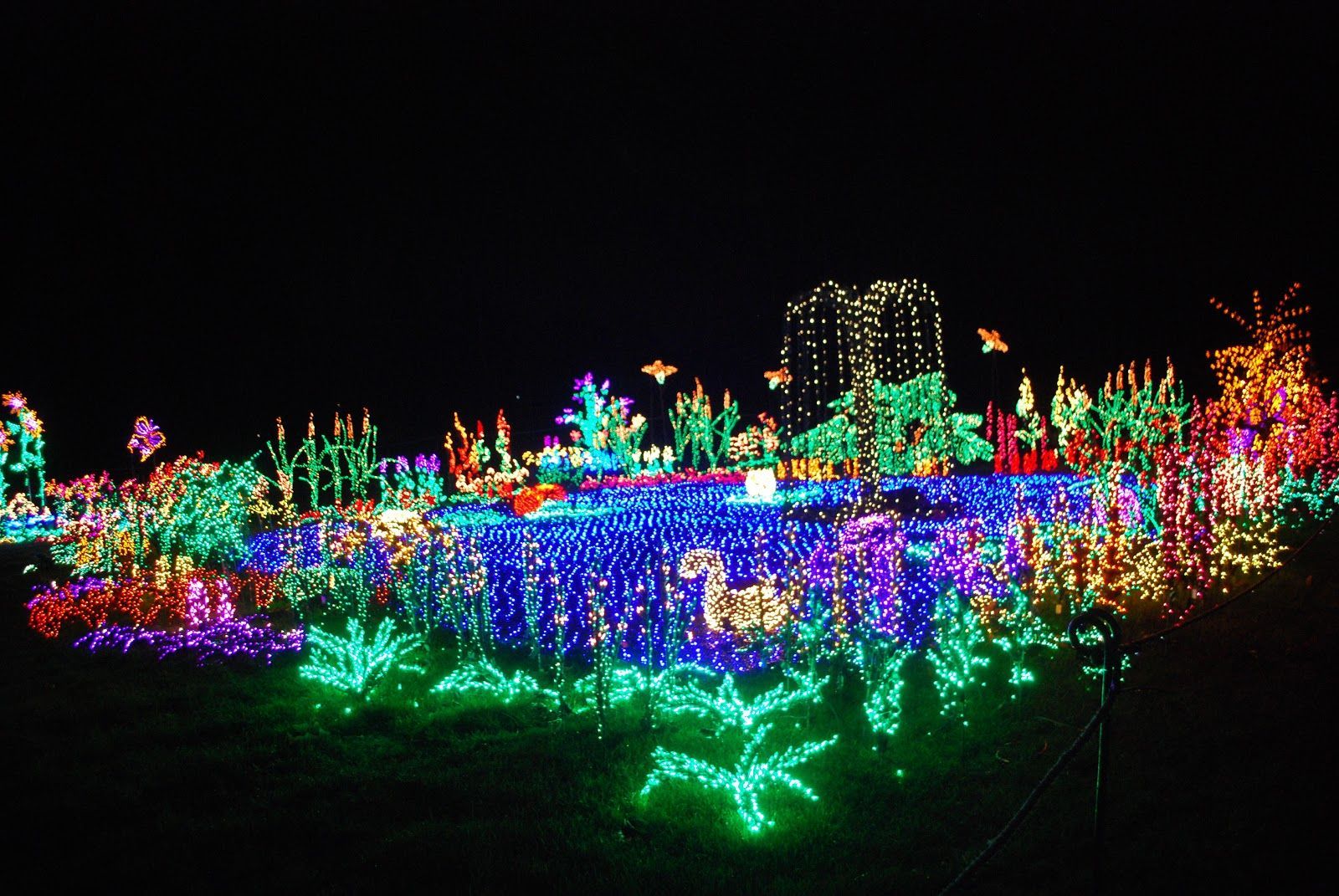 Flashing Lights Wallpapers Wallpaper Cave