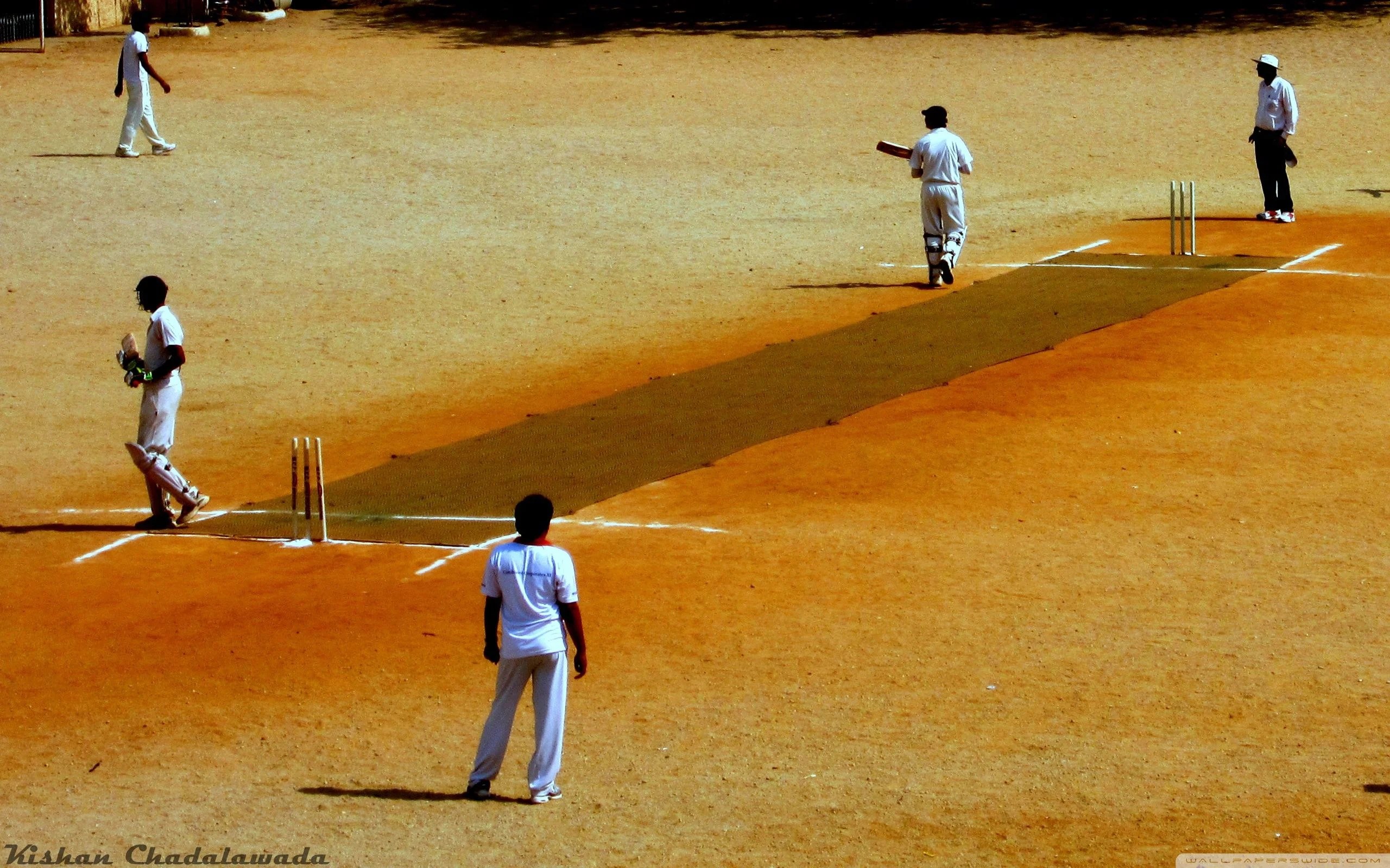 Cricket 4k Wallpapers Wallpaper Cave