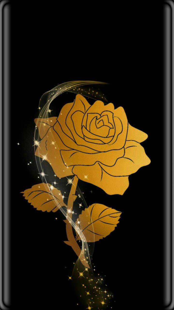 Golden Rose Wallpapers Wallpaper Cave