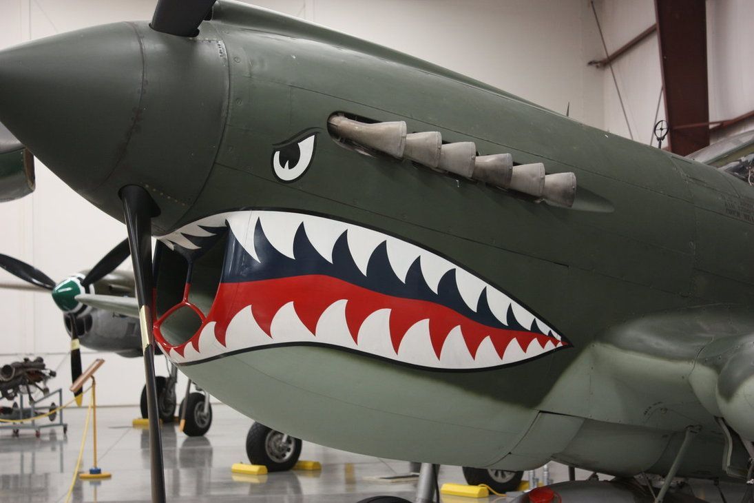 Fighter Jet Shark Mouth