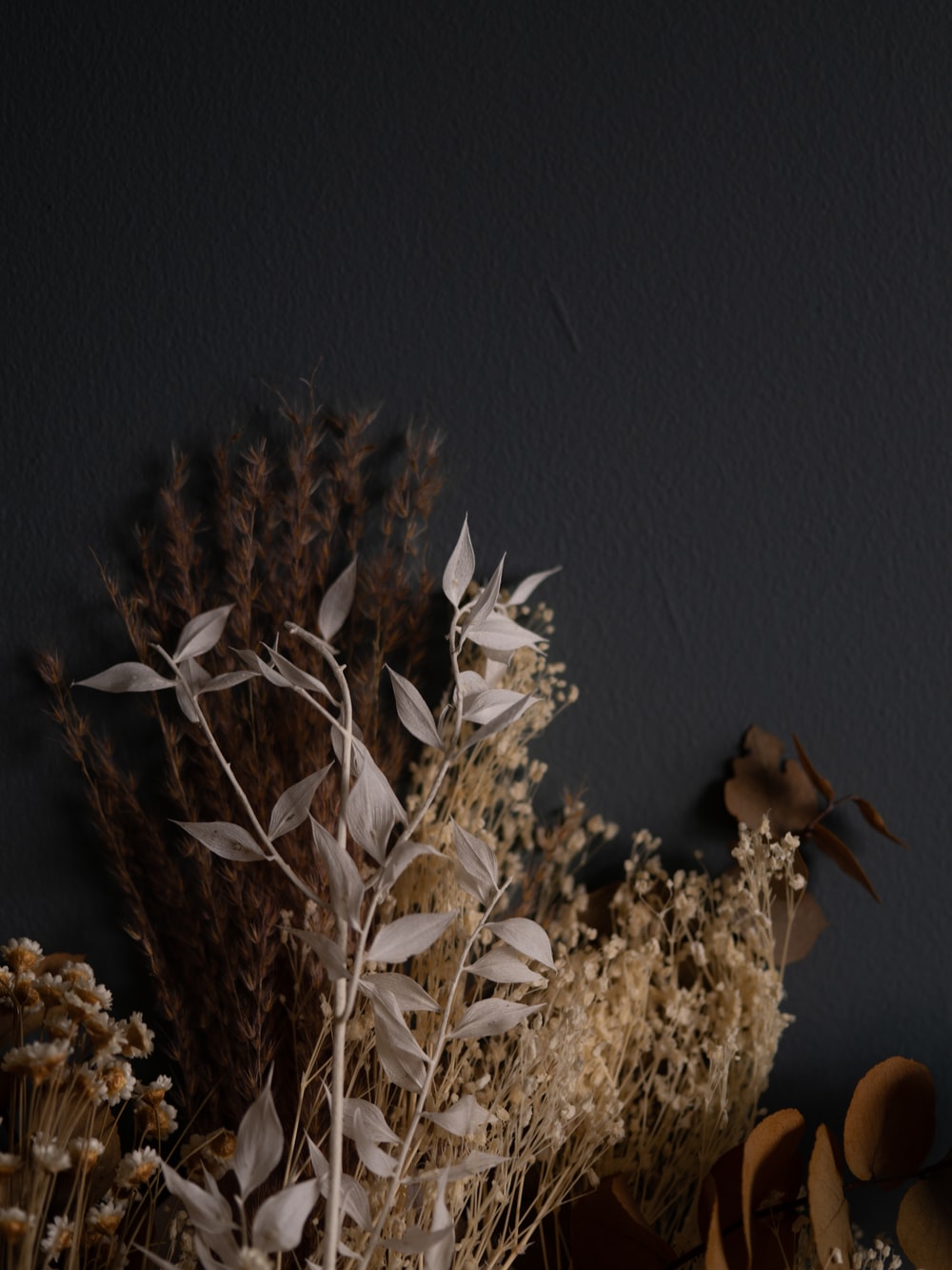 Dried Flowers Wallpapers Wallpaper Cave