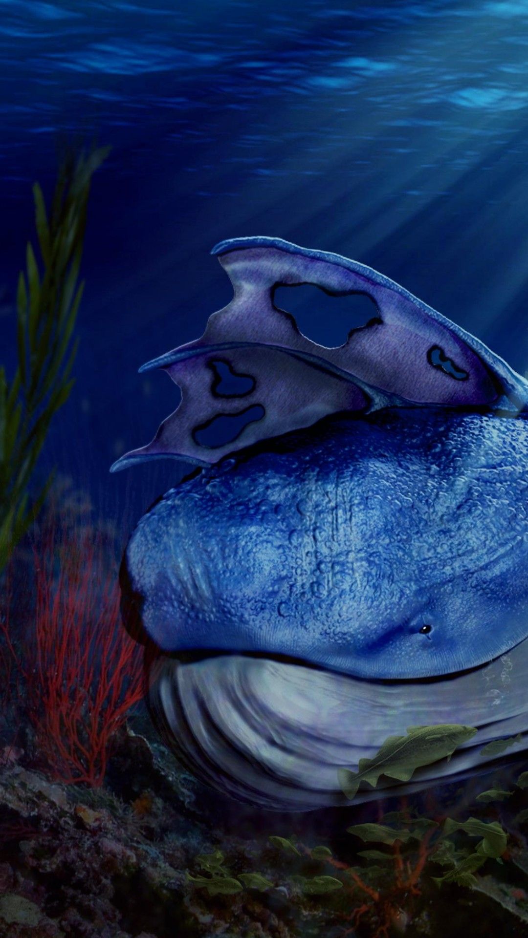 iPhone 12 Border HD Wallpapers Wallpaper Cave