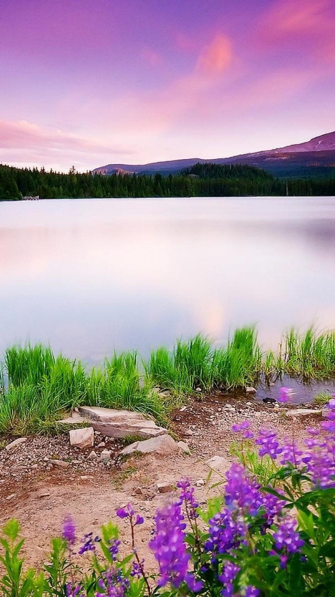 Colorful Nature HD Mobile Wallpapers Wallpaper Cave