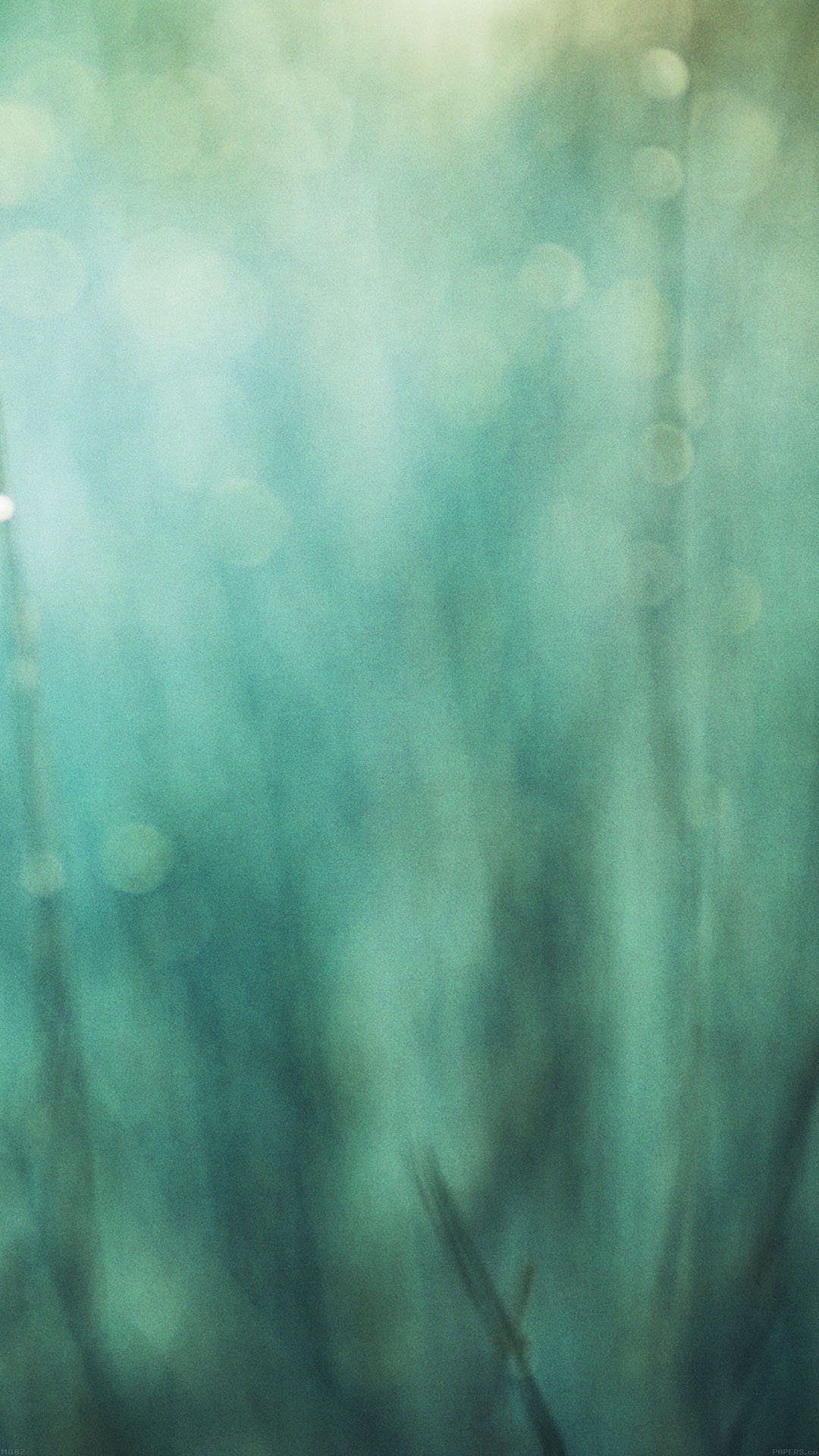 Pale Green Wallpapers Wallpaper Cave