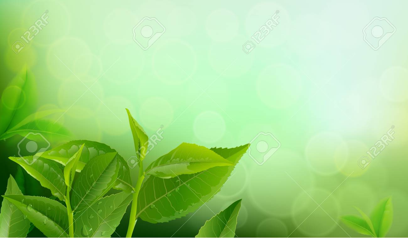 Tea Leaves Wallpapers Wallpaper Cave