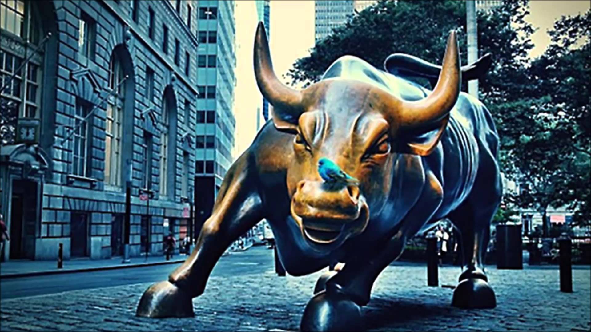 Stock Market Bull Wallpapers Wallpaper Cave