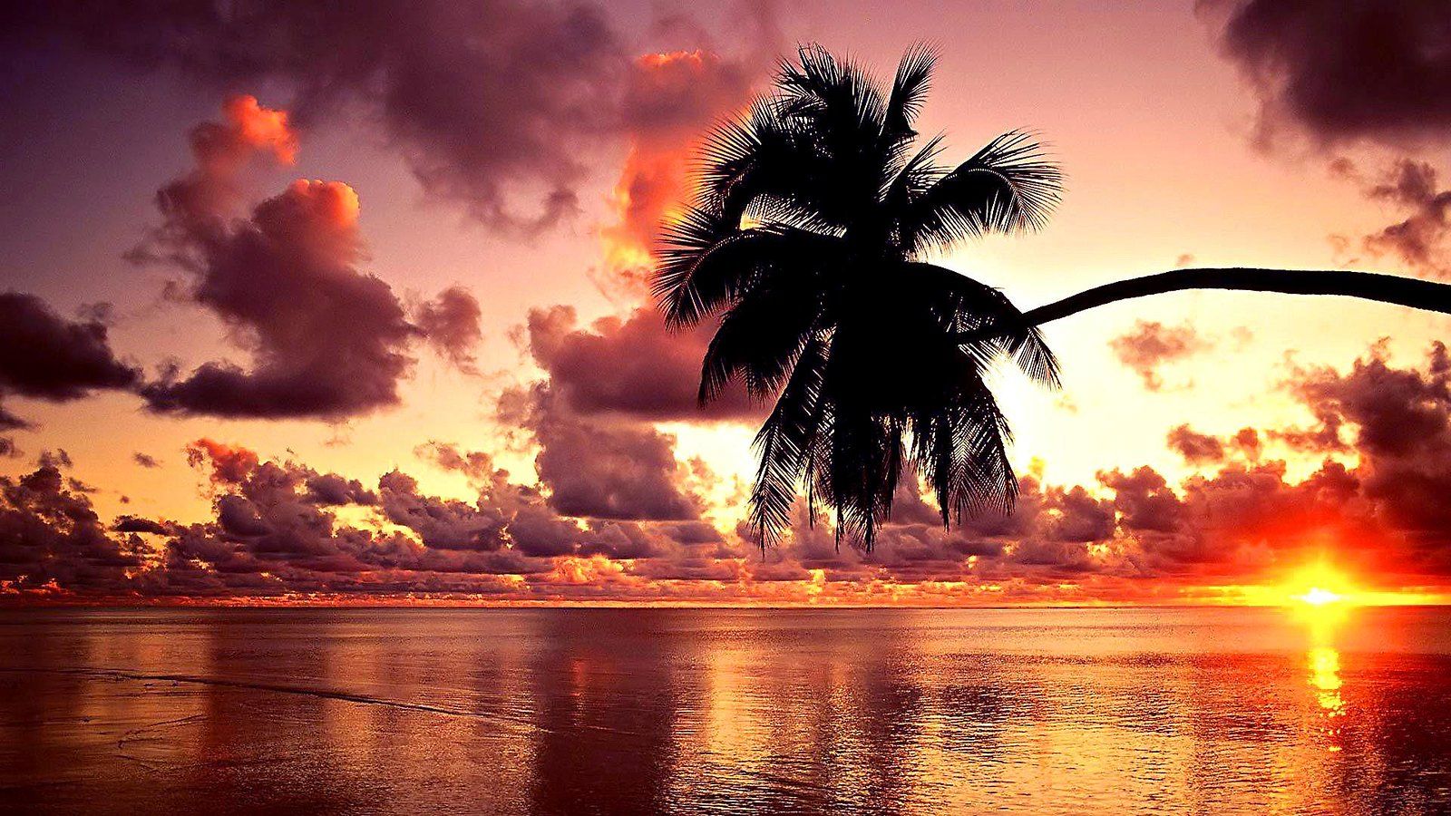 Desktop Sunset Wallpapers Wallpaper Cave