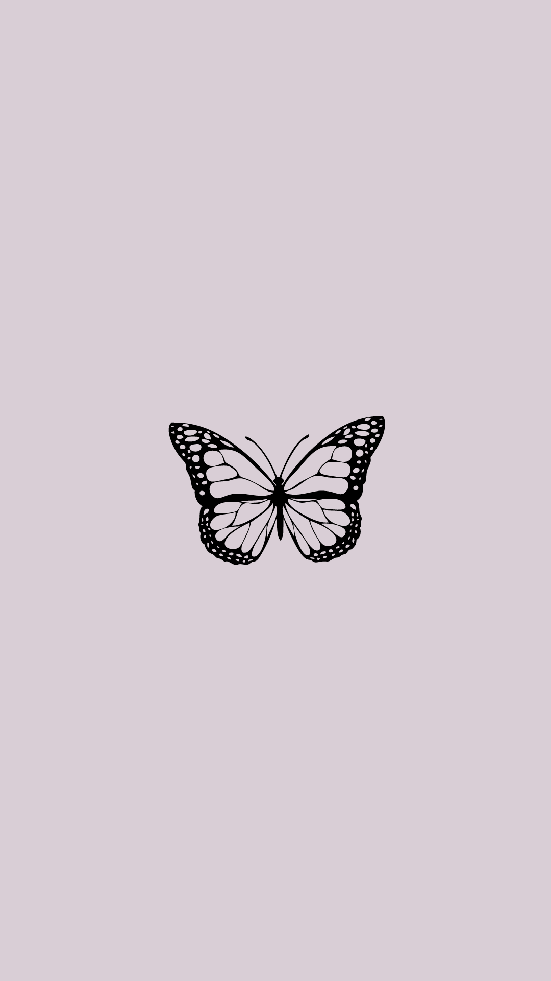 Cute Aesthetic Butterfly Wallpapers Wallpaper Cave