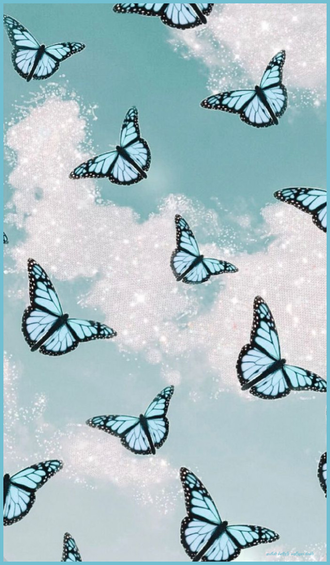 Cute Aesthetic Butterfly Wallpapers Wallpaper Cave