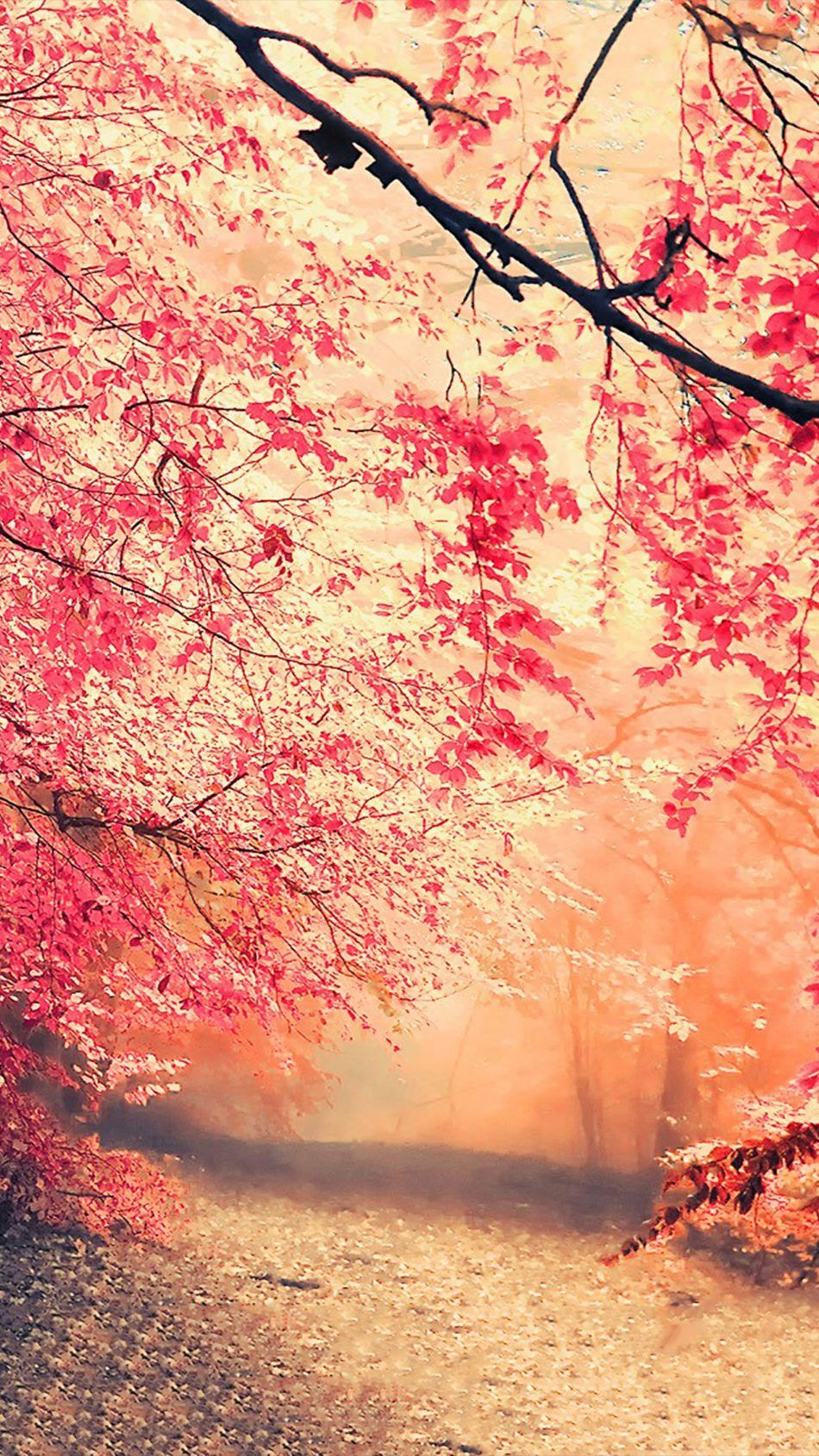 3d Nature Wallpaper For Mobile Phone