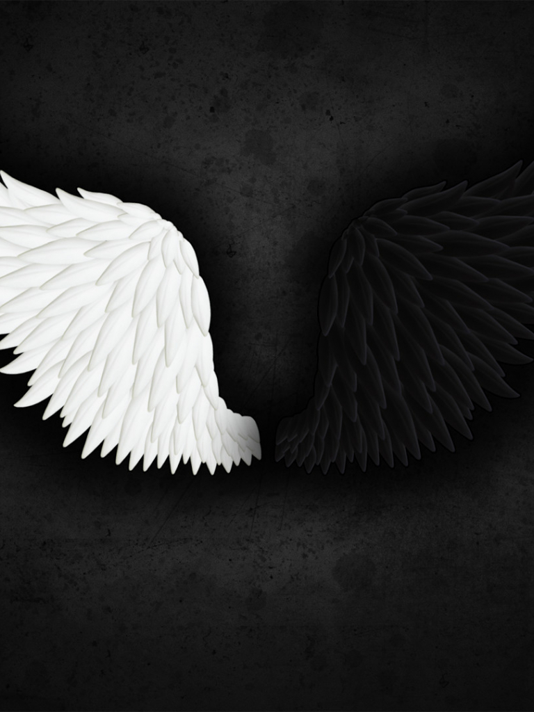 White Wings Wallpapers Wallpaper Cave