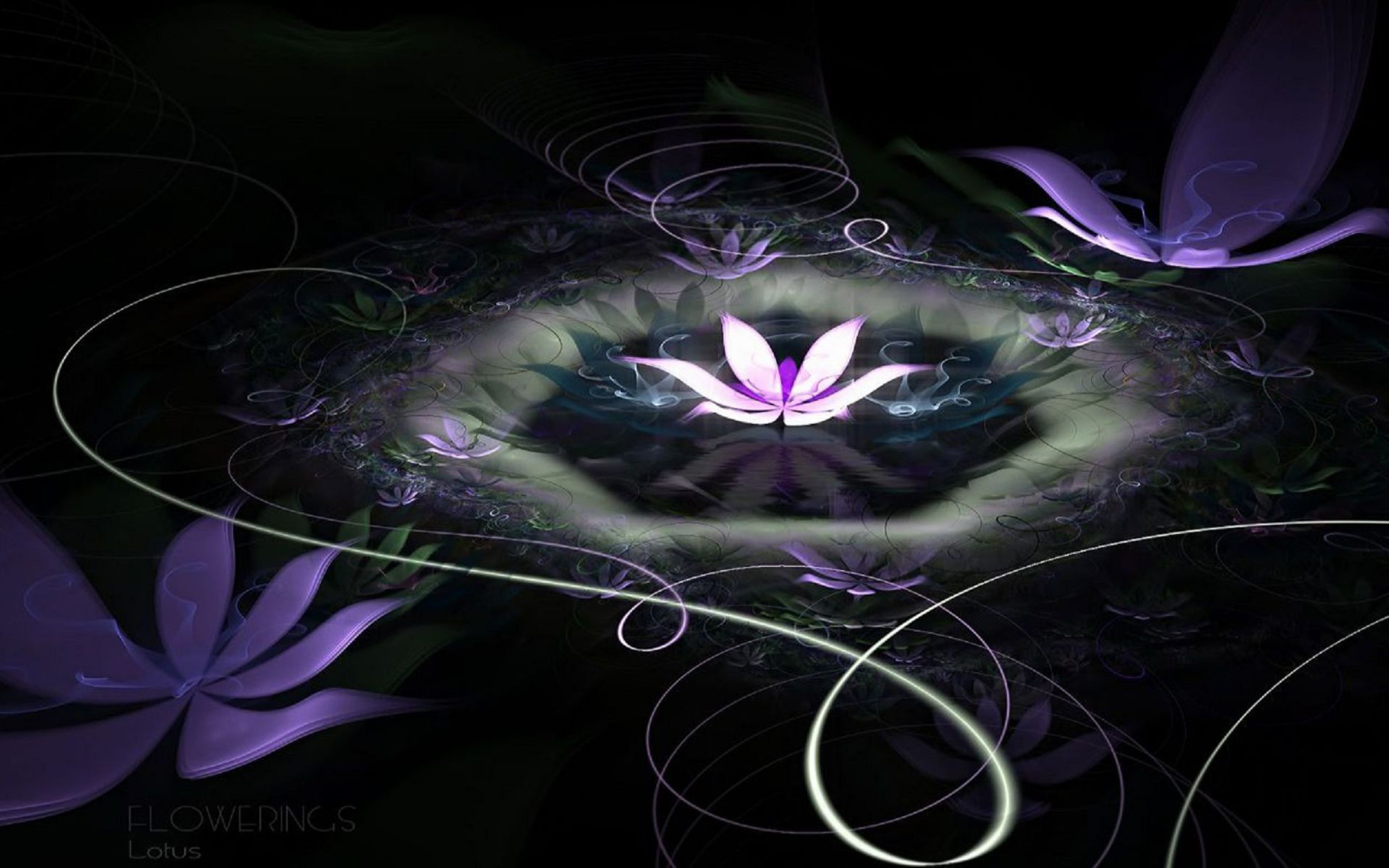 Black Lotus Flower Wallpaper