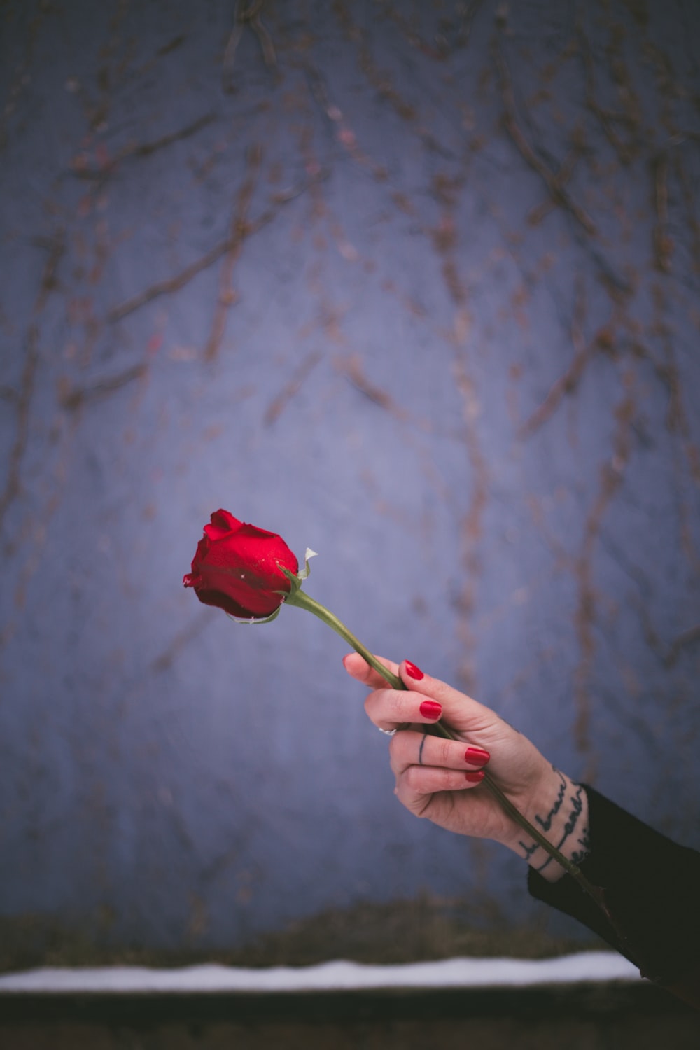 Rose In Hand Wallpapers Wallpaper Cave