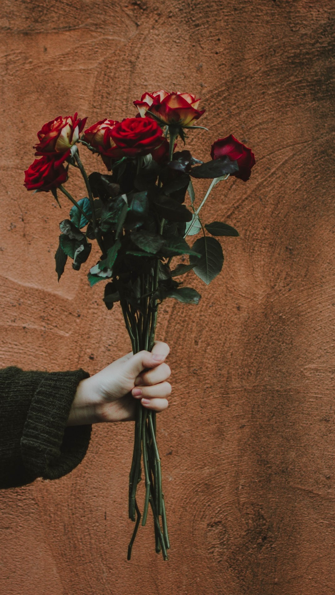 Rose In Hand Wallpapers Wallpaper Cave