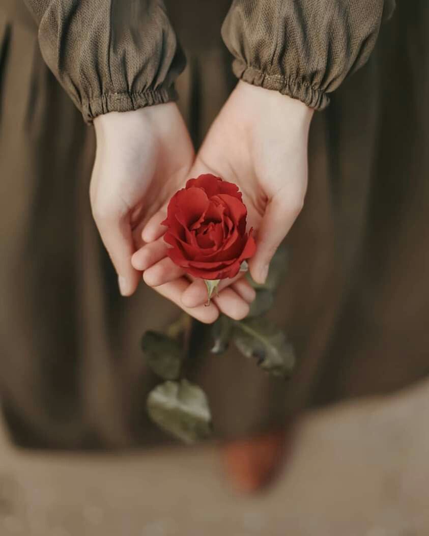 Flower In Hand Wallpapers Wallpaper Cave