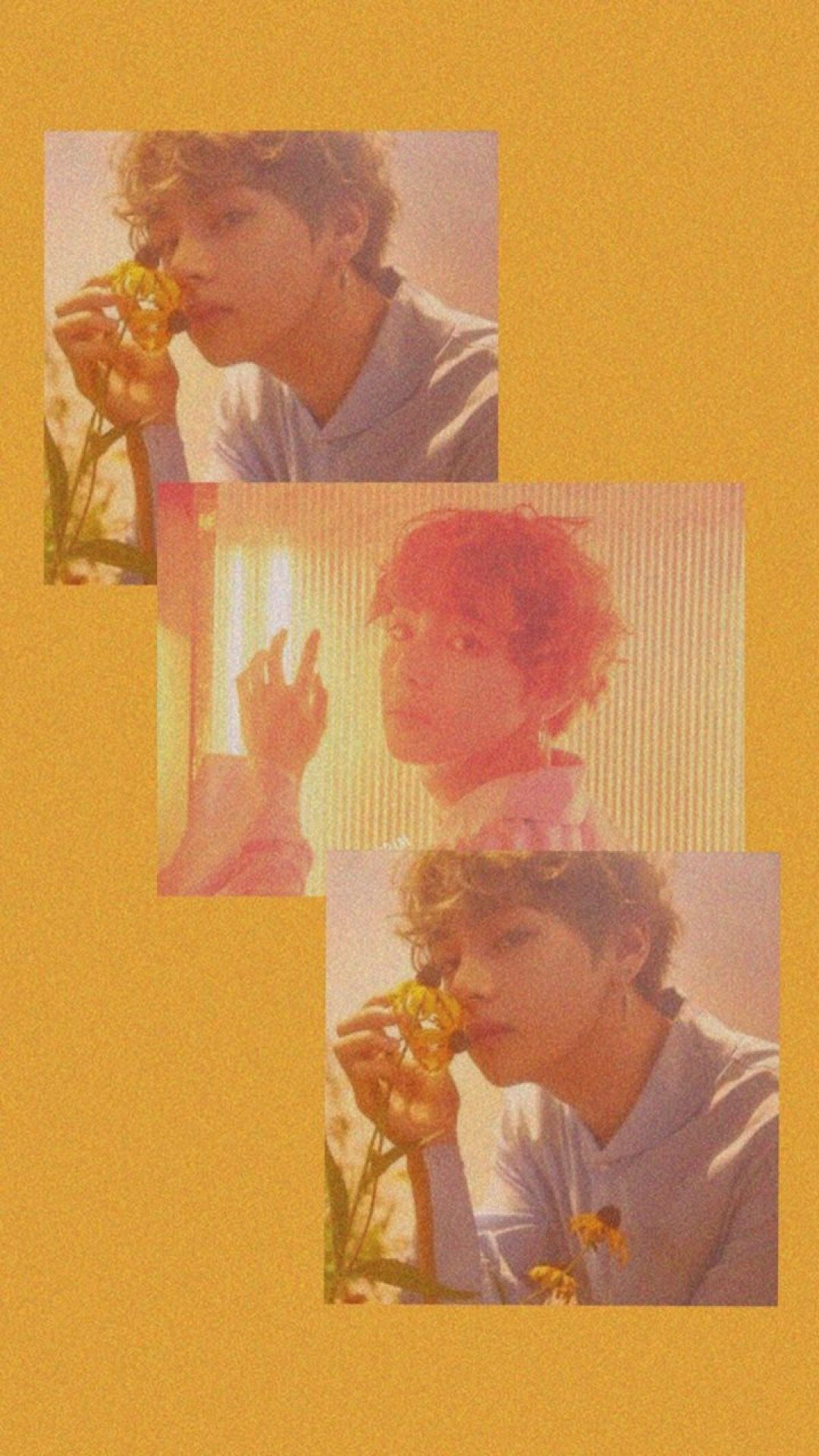 Jungkook Orange Aesthetic Wallpapers Wallpaper Cave