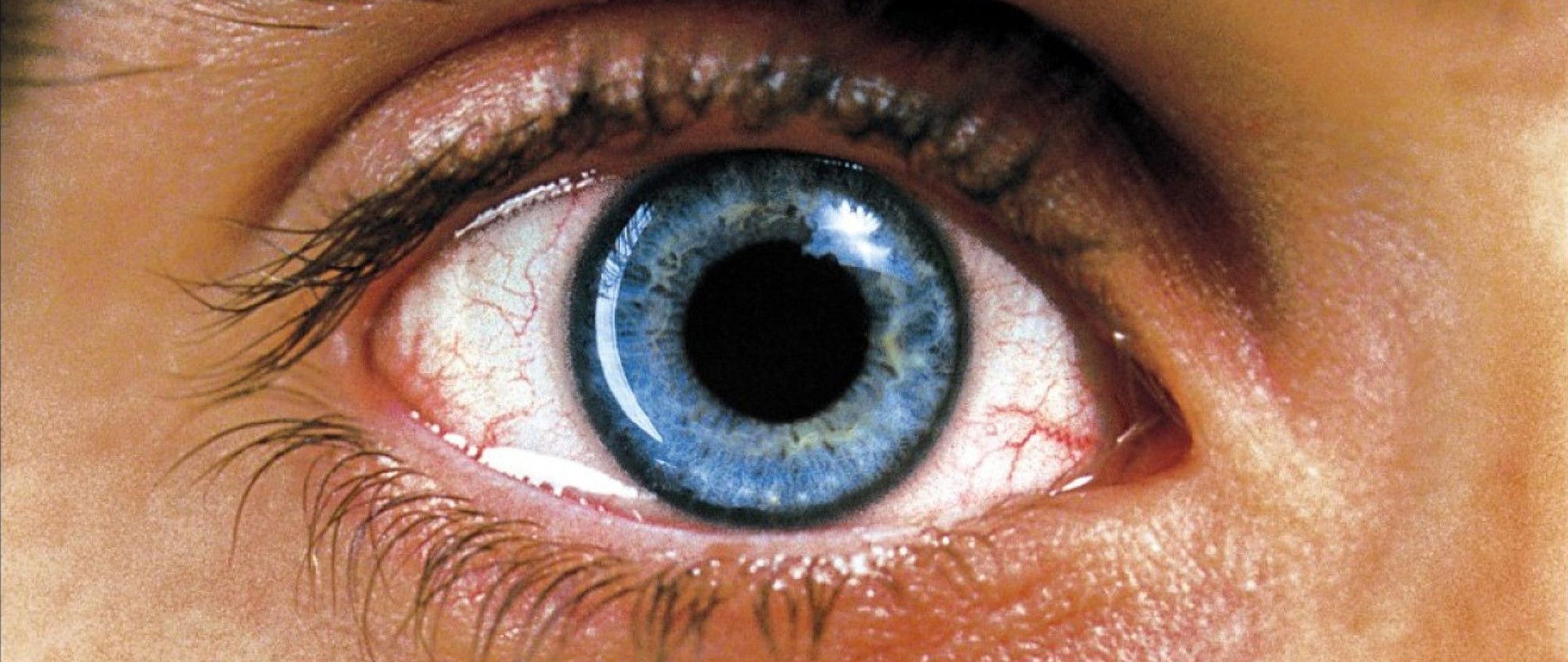 Pupil Wallpapers Wallpaper Cave